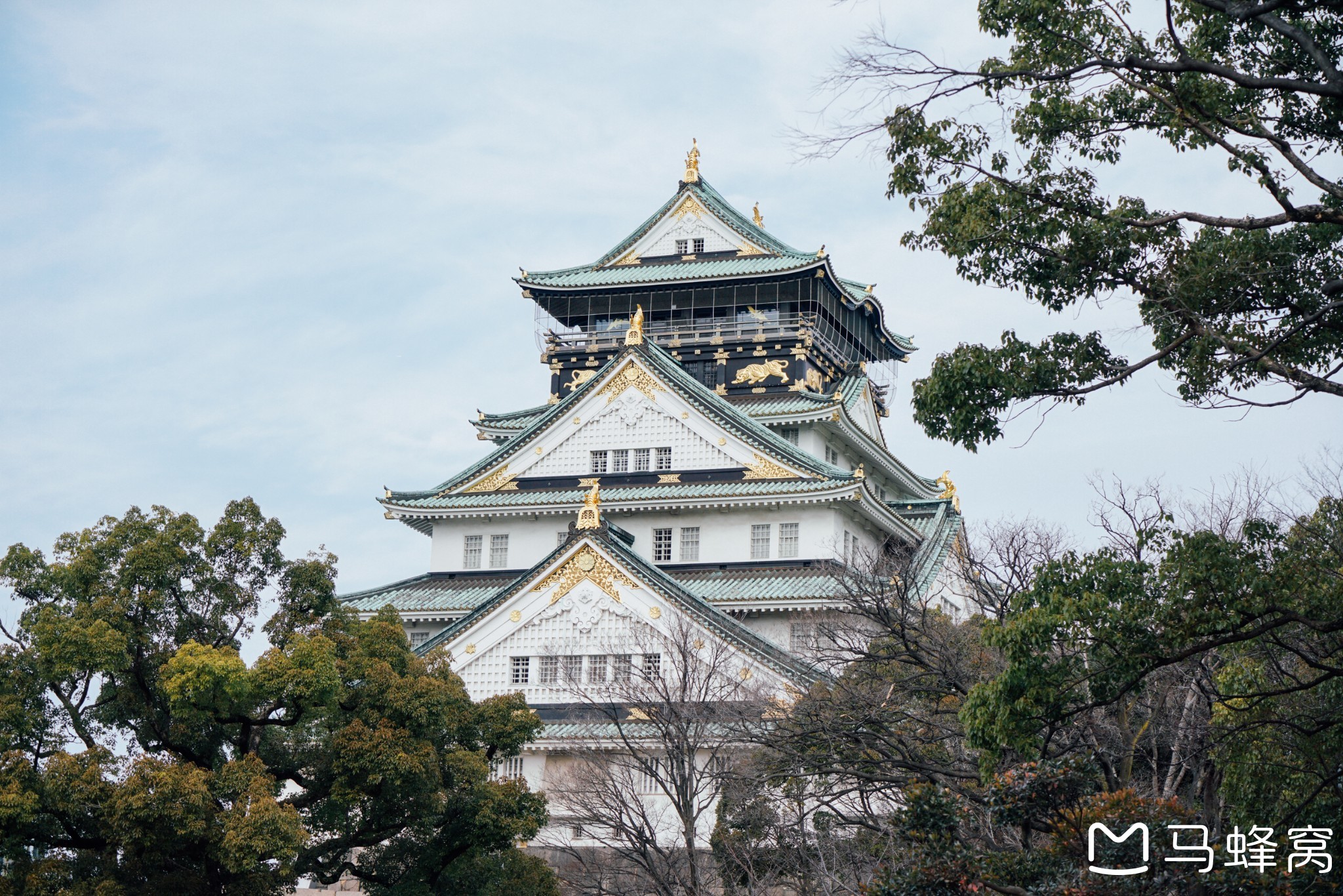 京都自助遊攻略