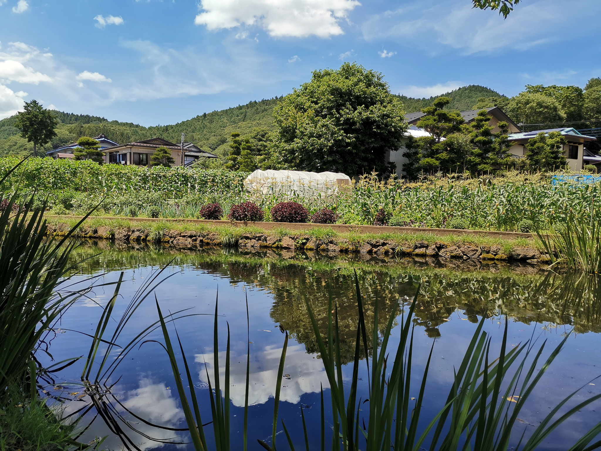 札幌自助遊攻略