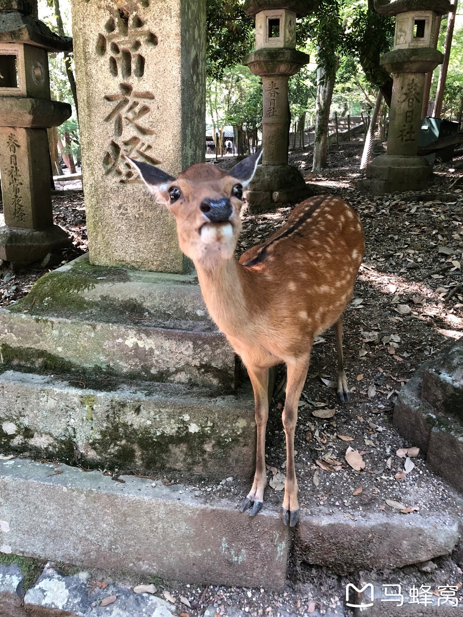 大阪自助遊攻略