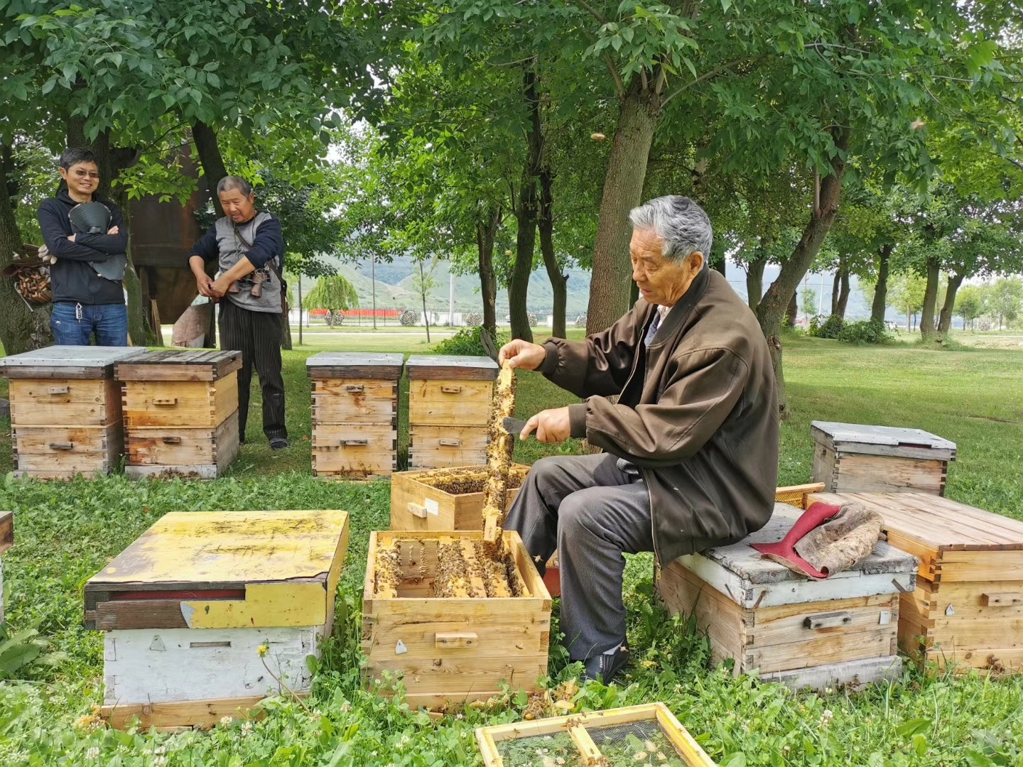 伊犁自助遊攻略