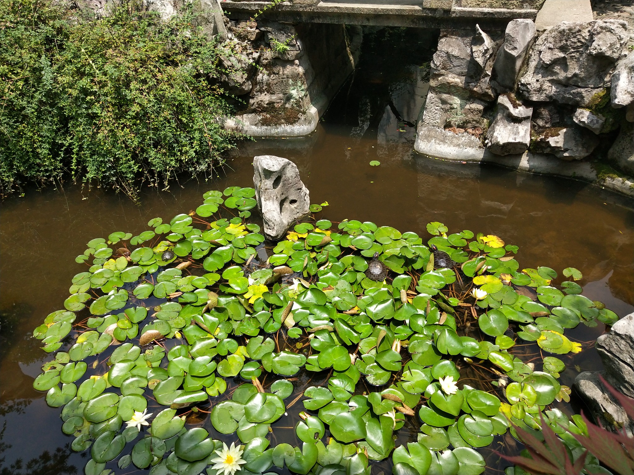 海宁海盐平湖二日游