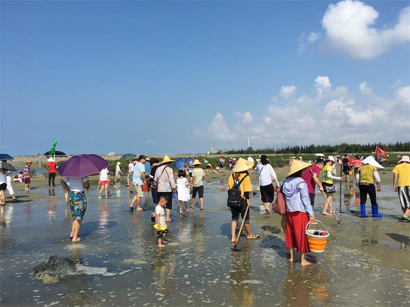 北海红树林天天赶海(工具租赁费 特色讲解服务费)