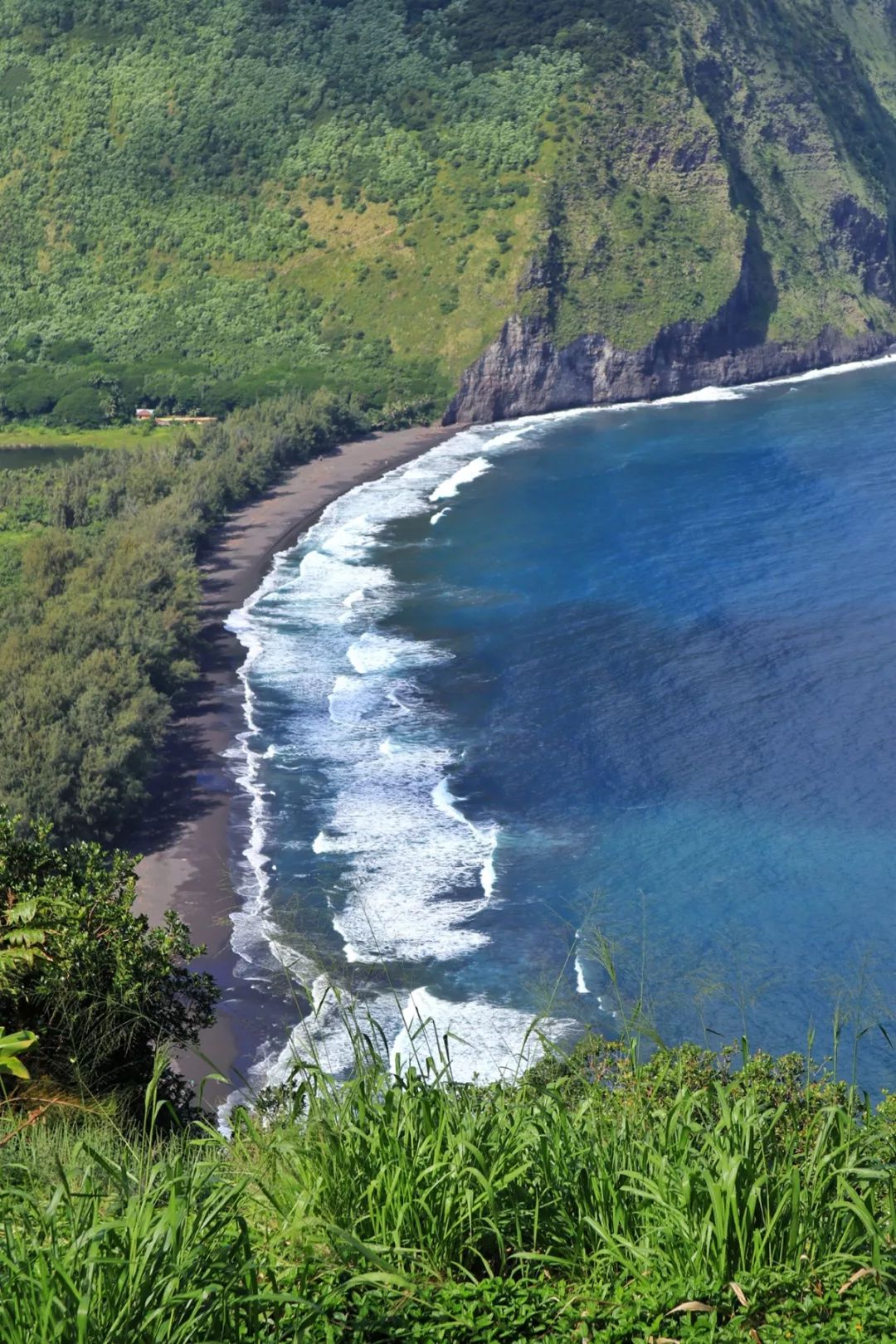 夏威夷|大岛,户外者的天堂,美食家的地狱.