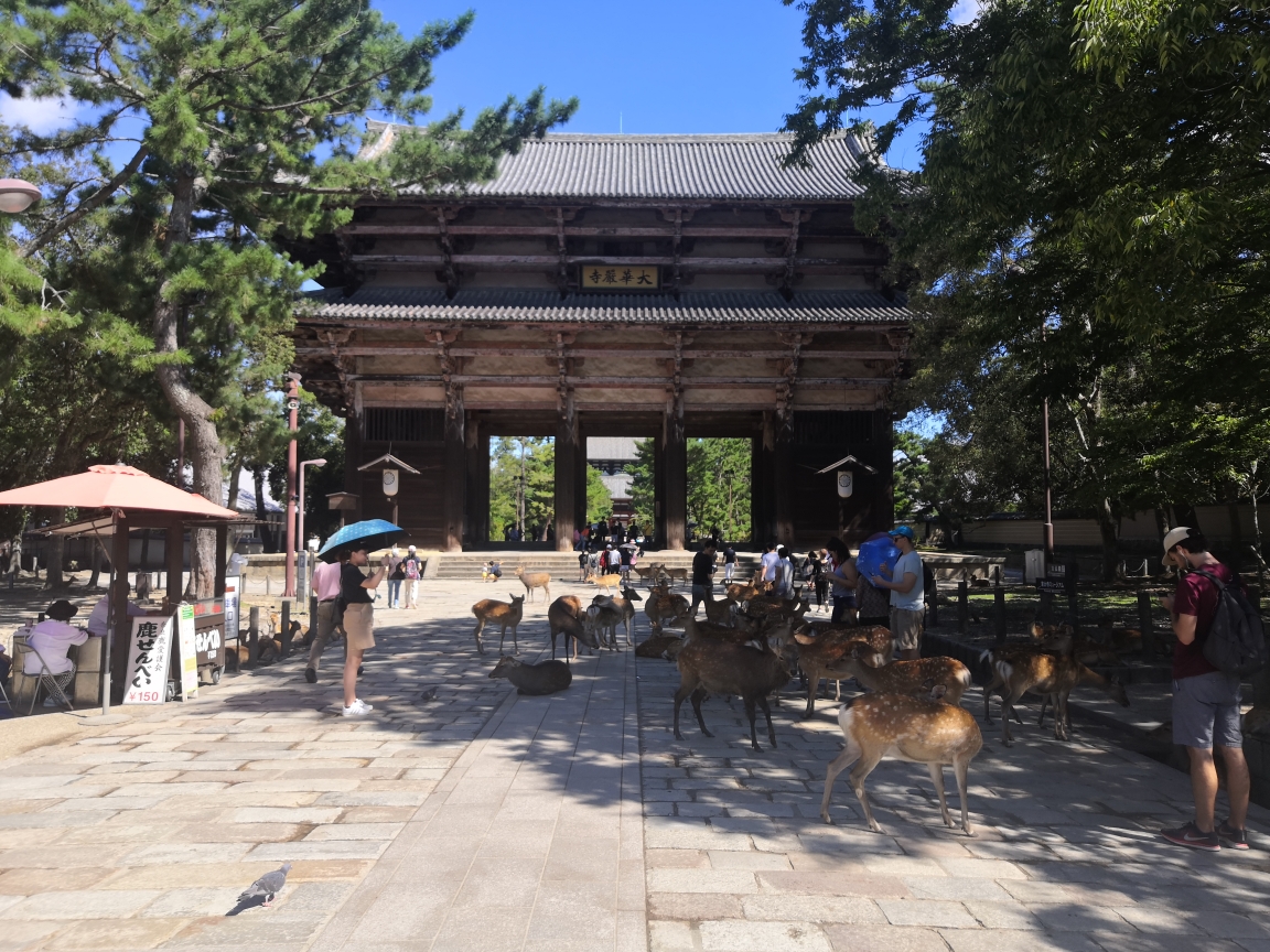 京都自助遊攻略