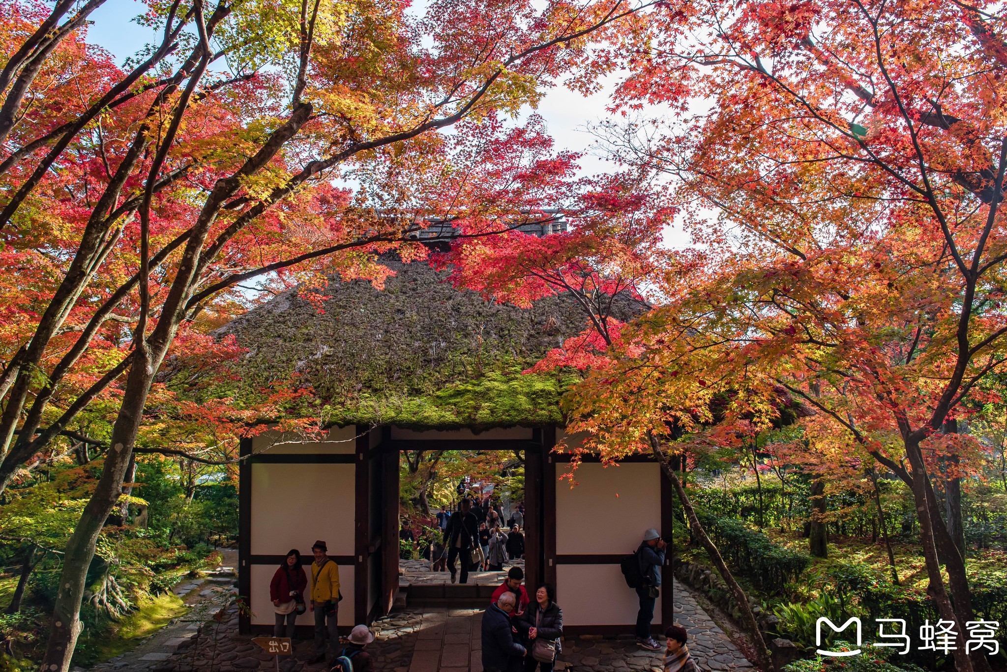 京都自助遊攻略