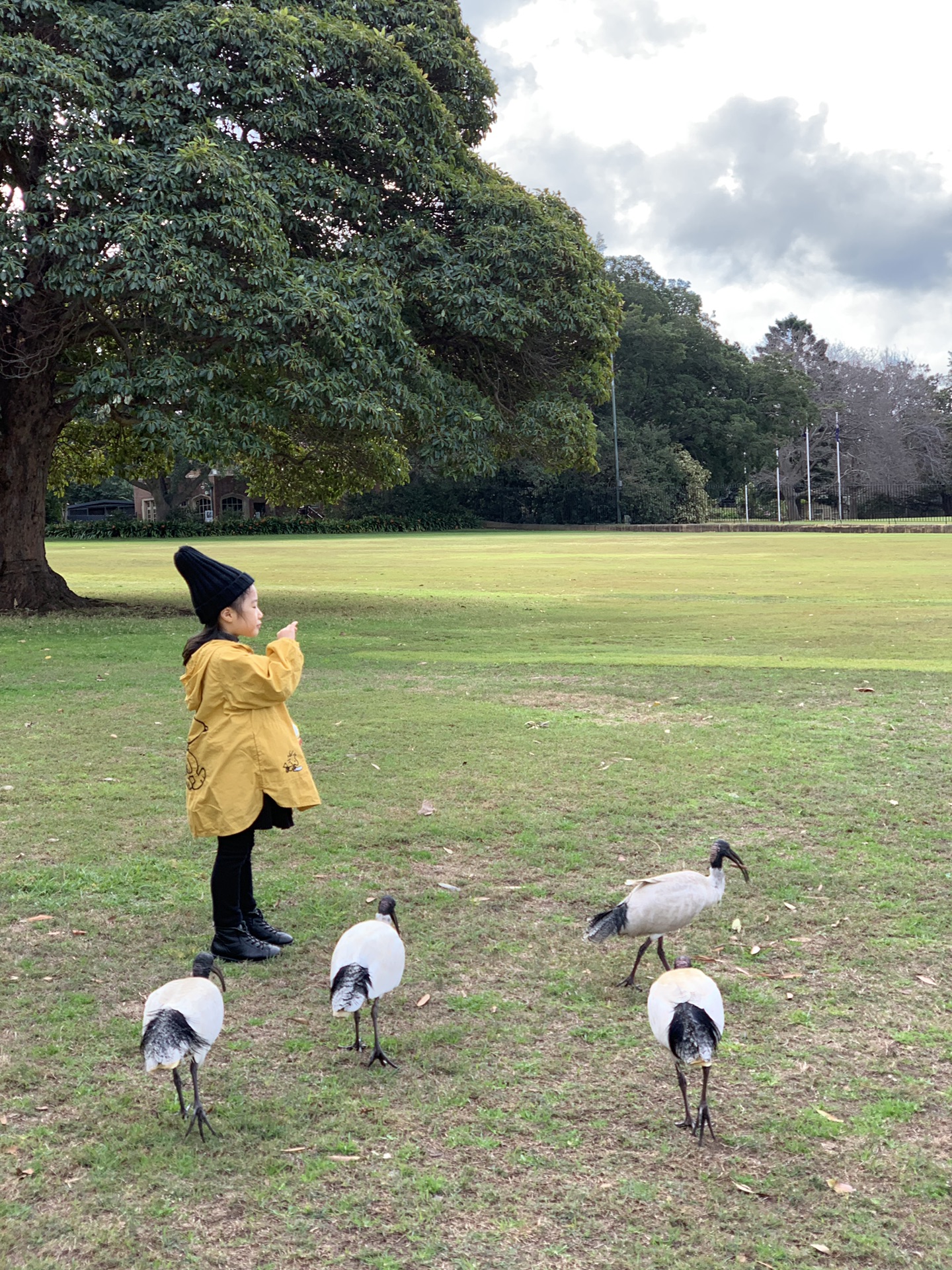 悉尼自助遊攻略