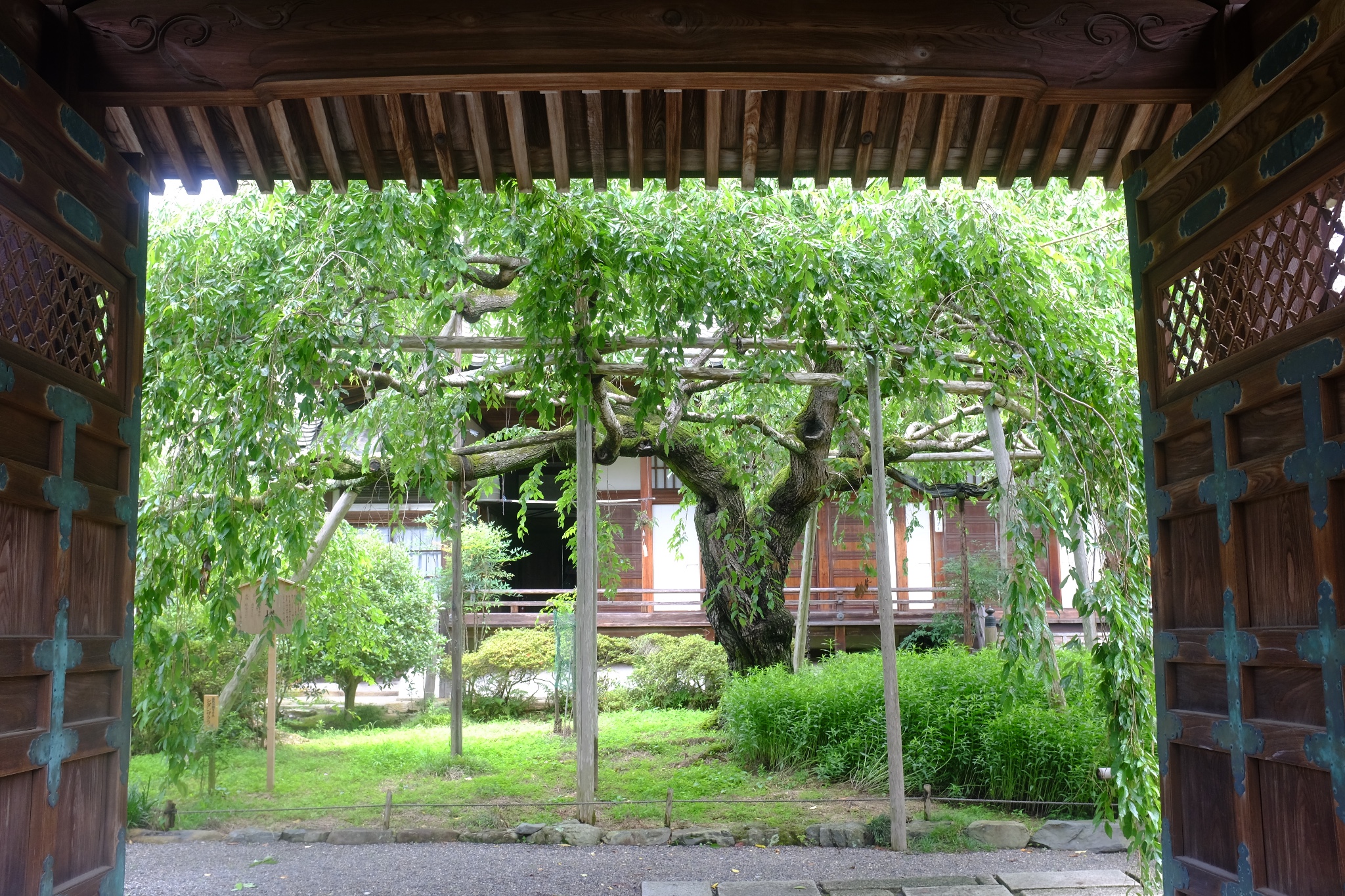 京都自助遊攻略