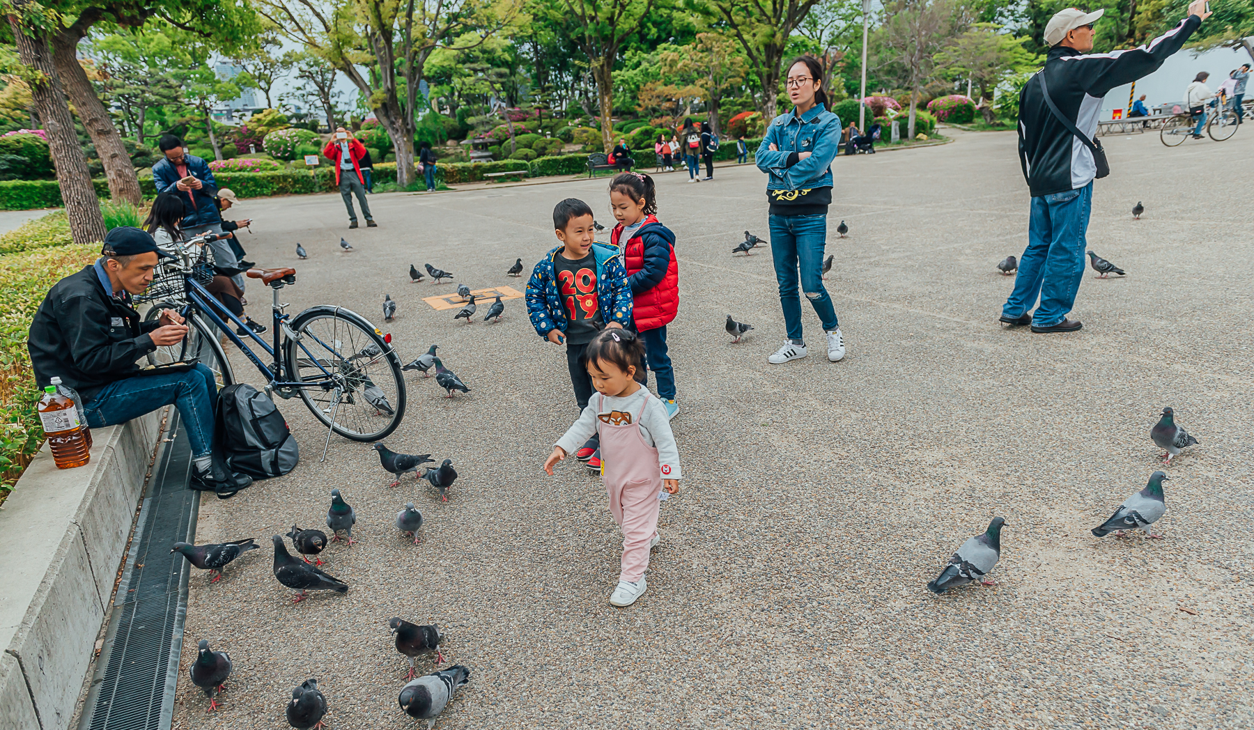 京都自助遊攻略