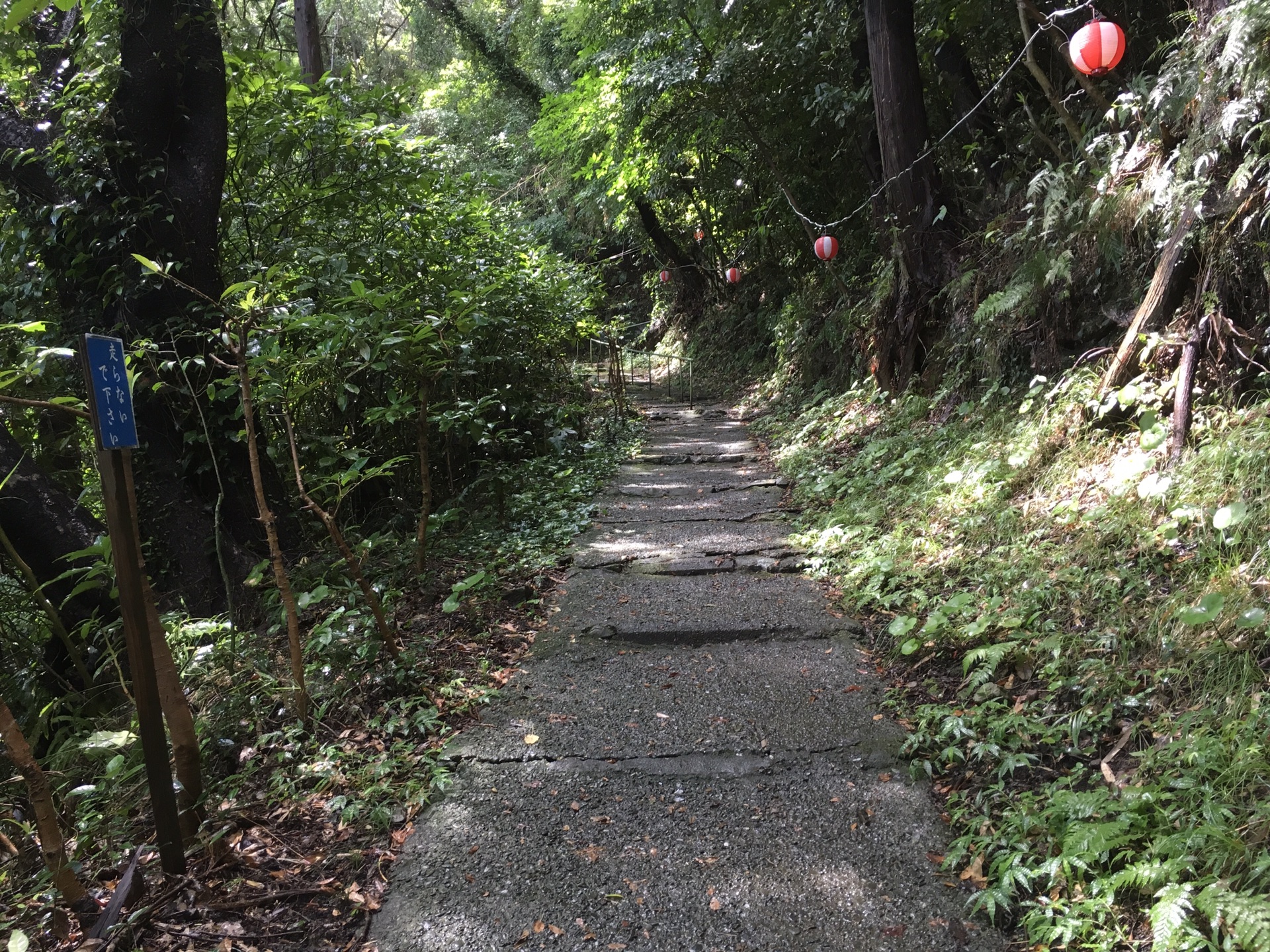 富士山自助遊攻略