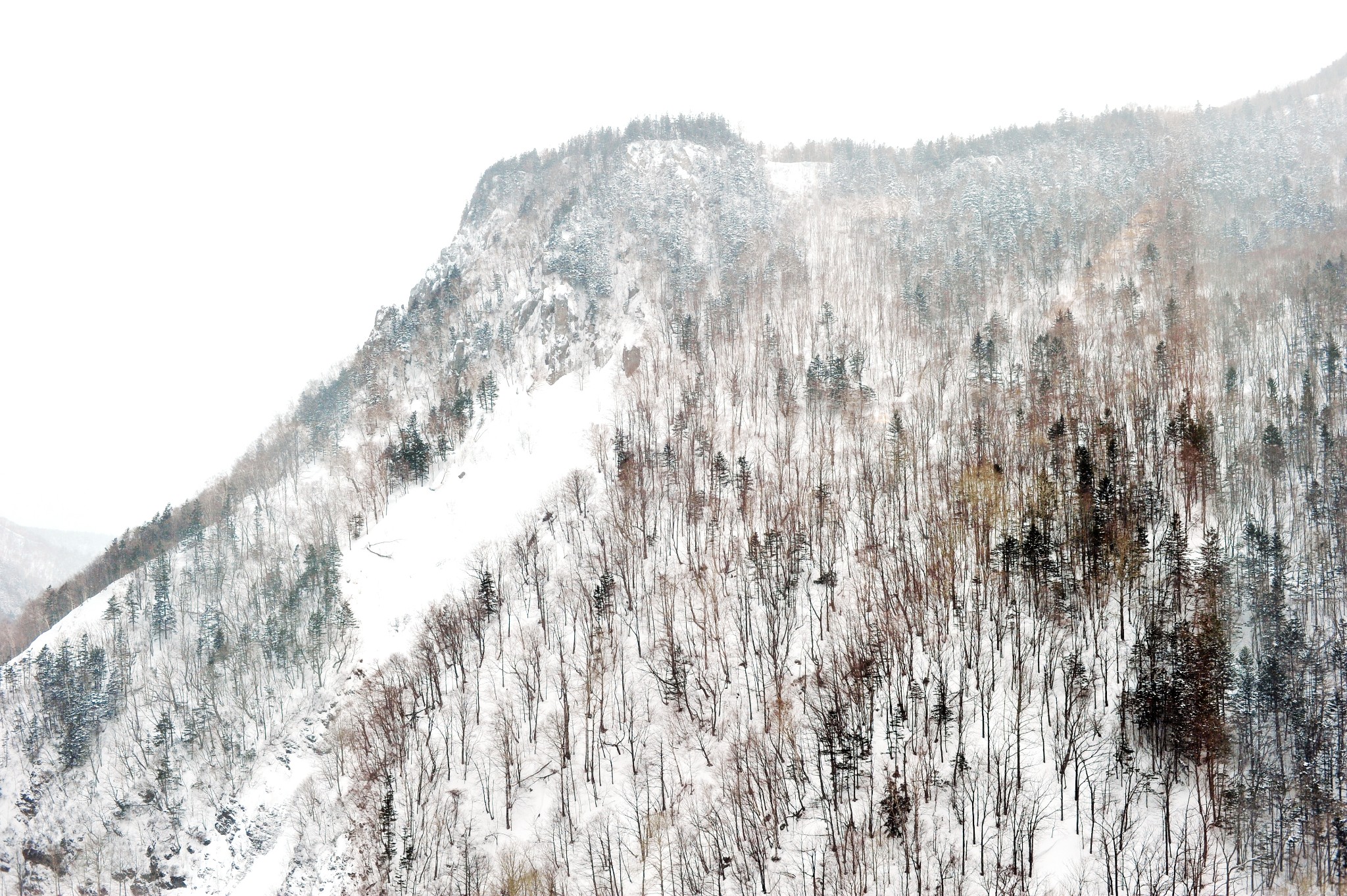 北海道自助遊攻略