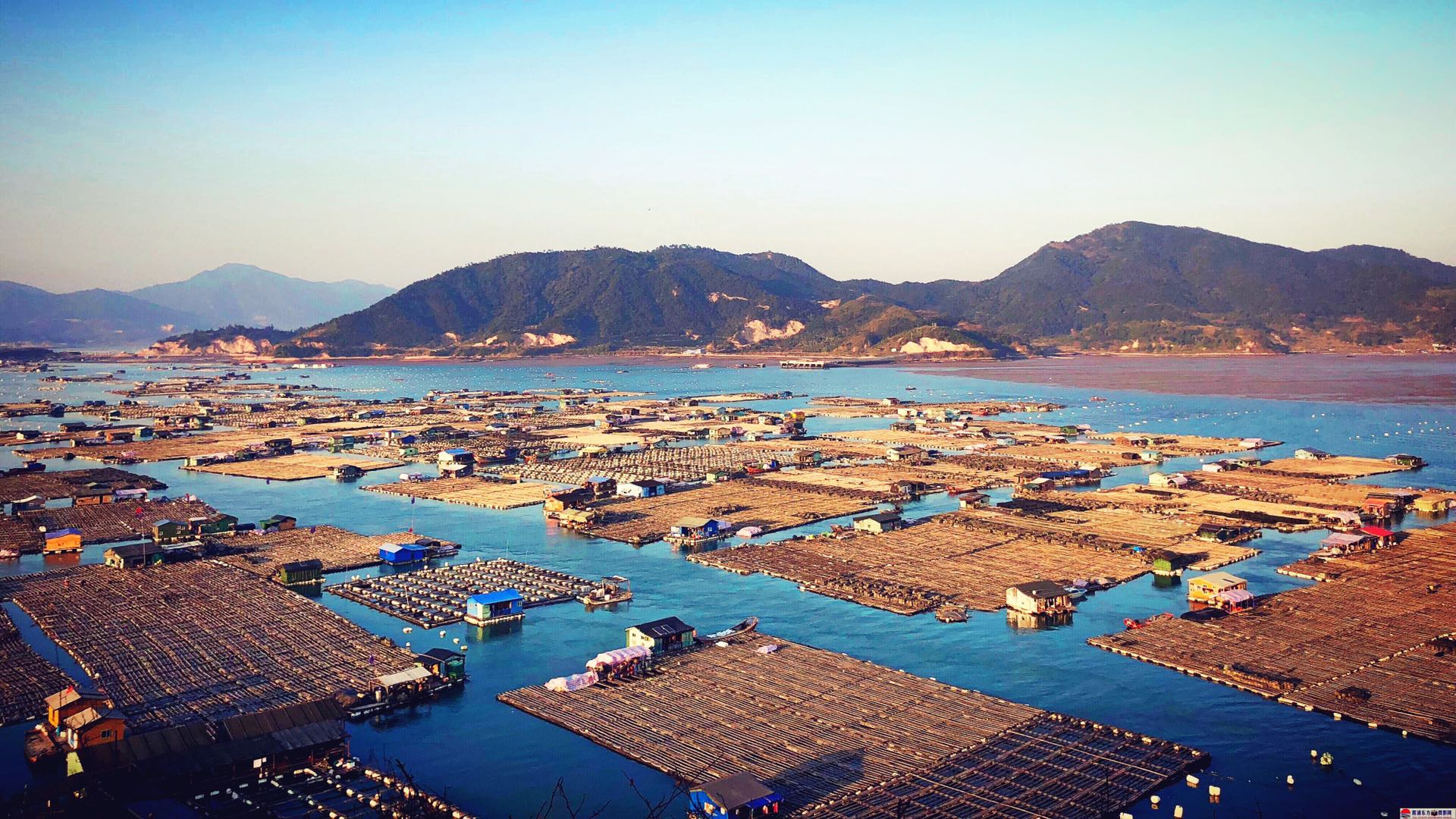 包船费用:依据船大小100元-200元不等 东安岛地处霞浦县中部的东吾洋