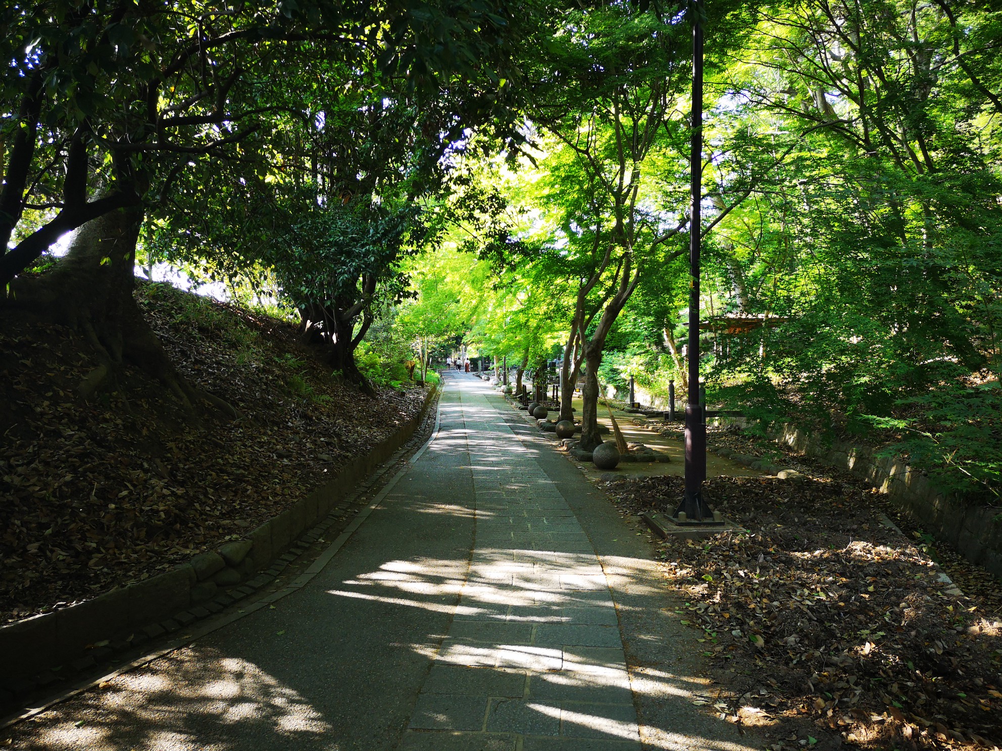 京都自助遊攻略