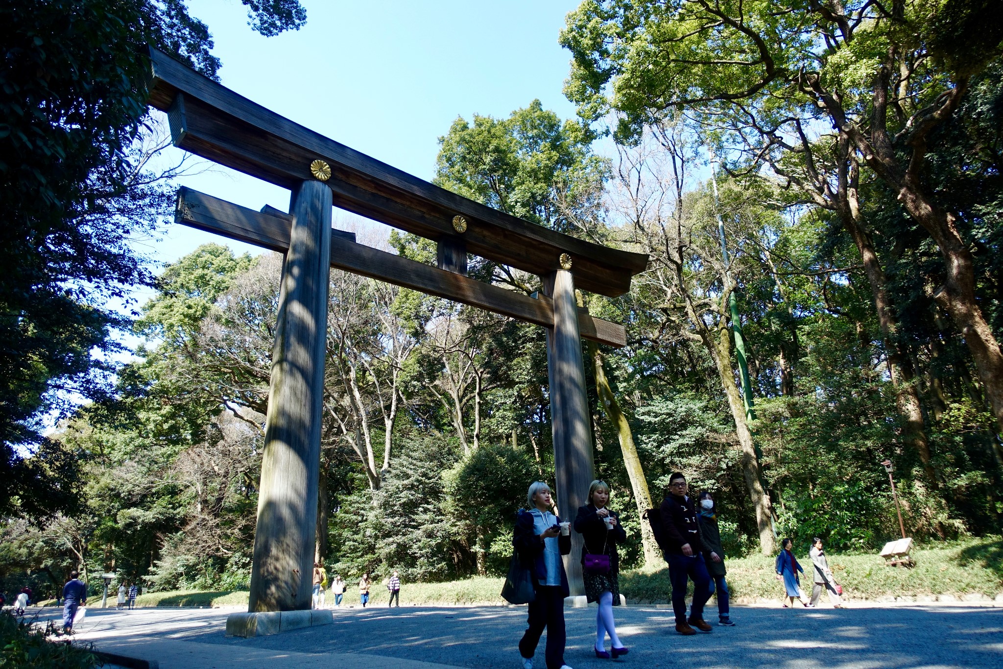 東京自助遊攻略