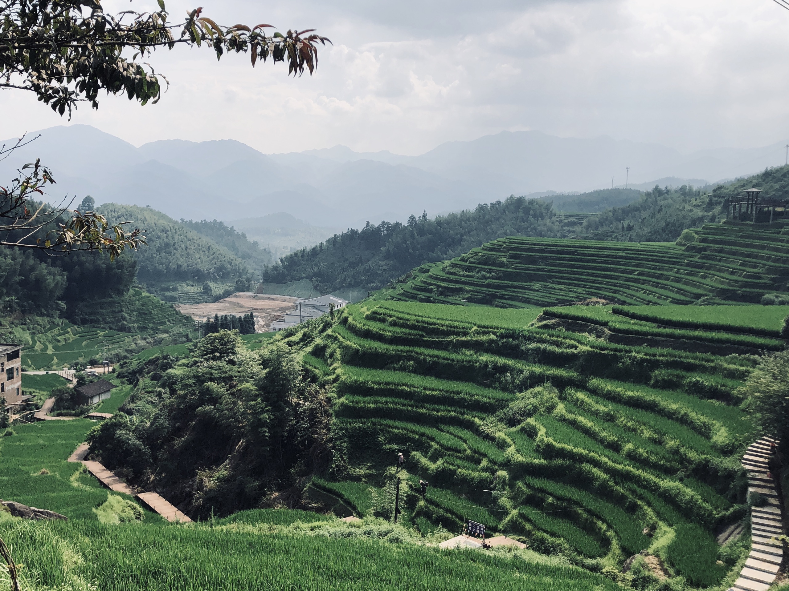 您在这里>旅游指南>自助游>西北到崇义旅游↑2012六月,上堡梯田