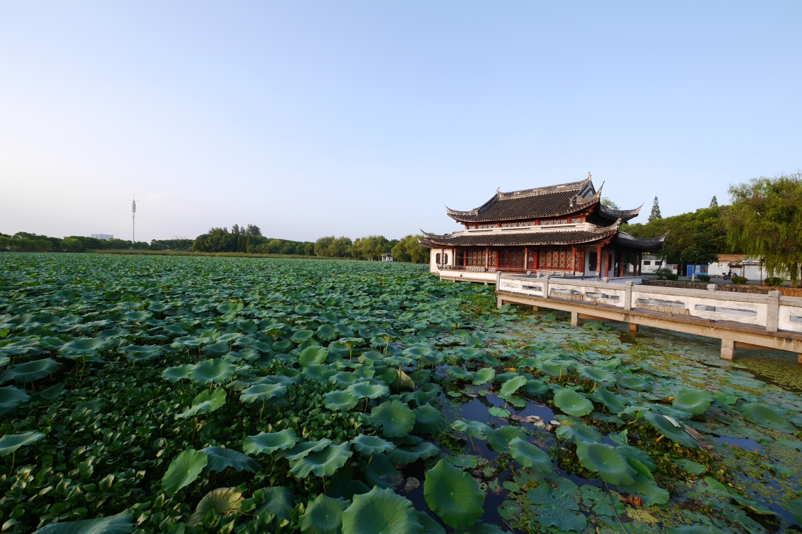 江苏苏州 芦墟老街 汾湖公园 芦墟大渠荡生态公园