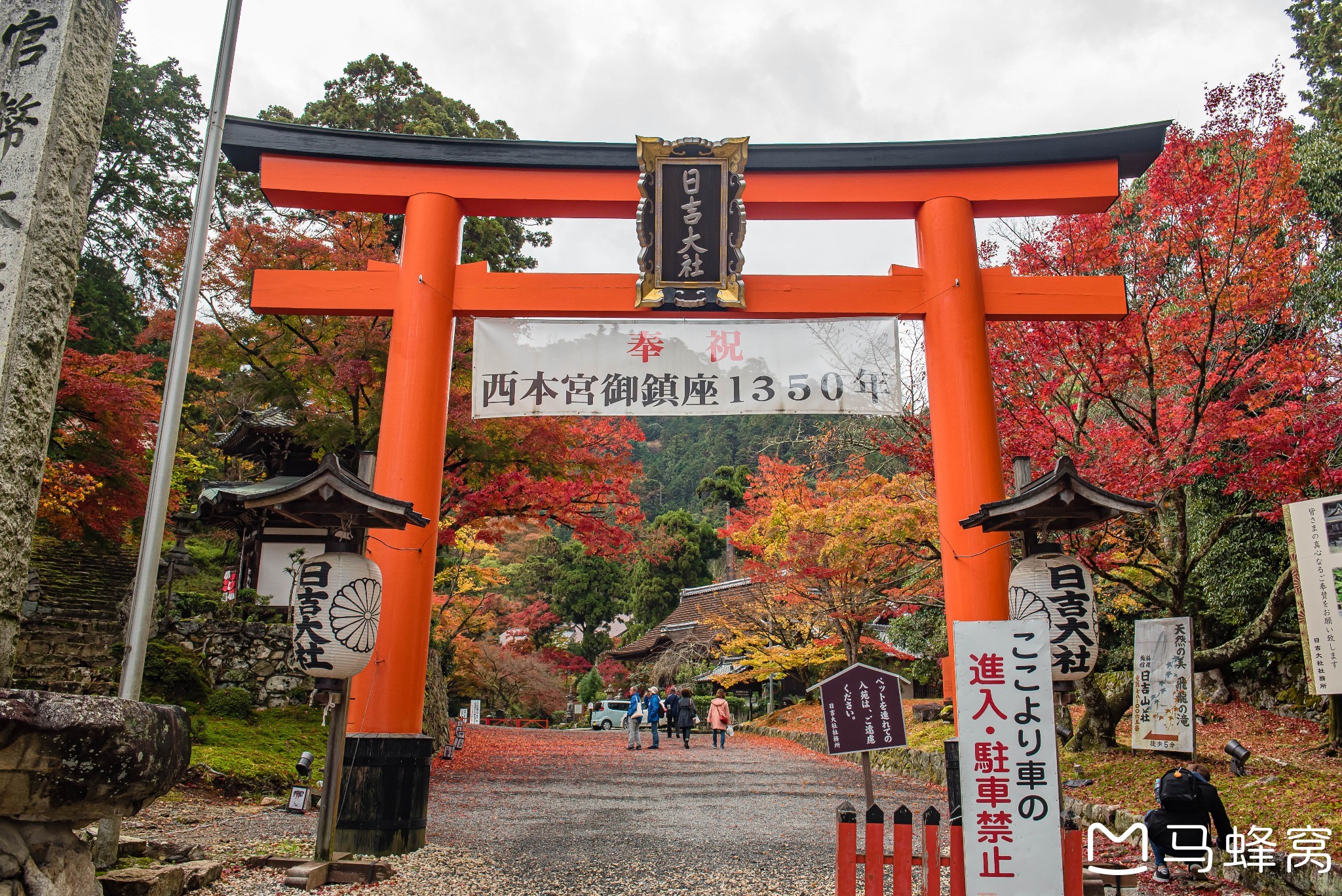 京都自助遊攻略