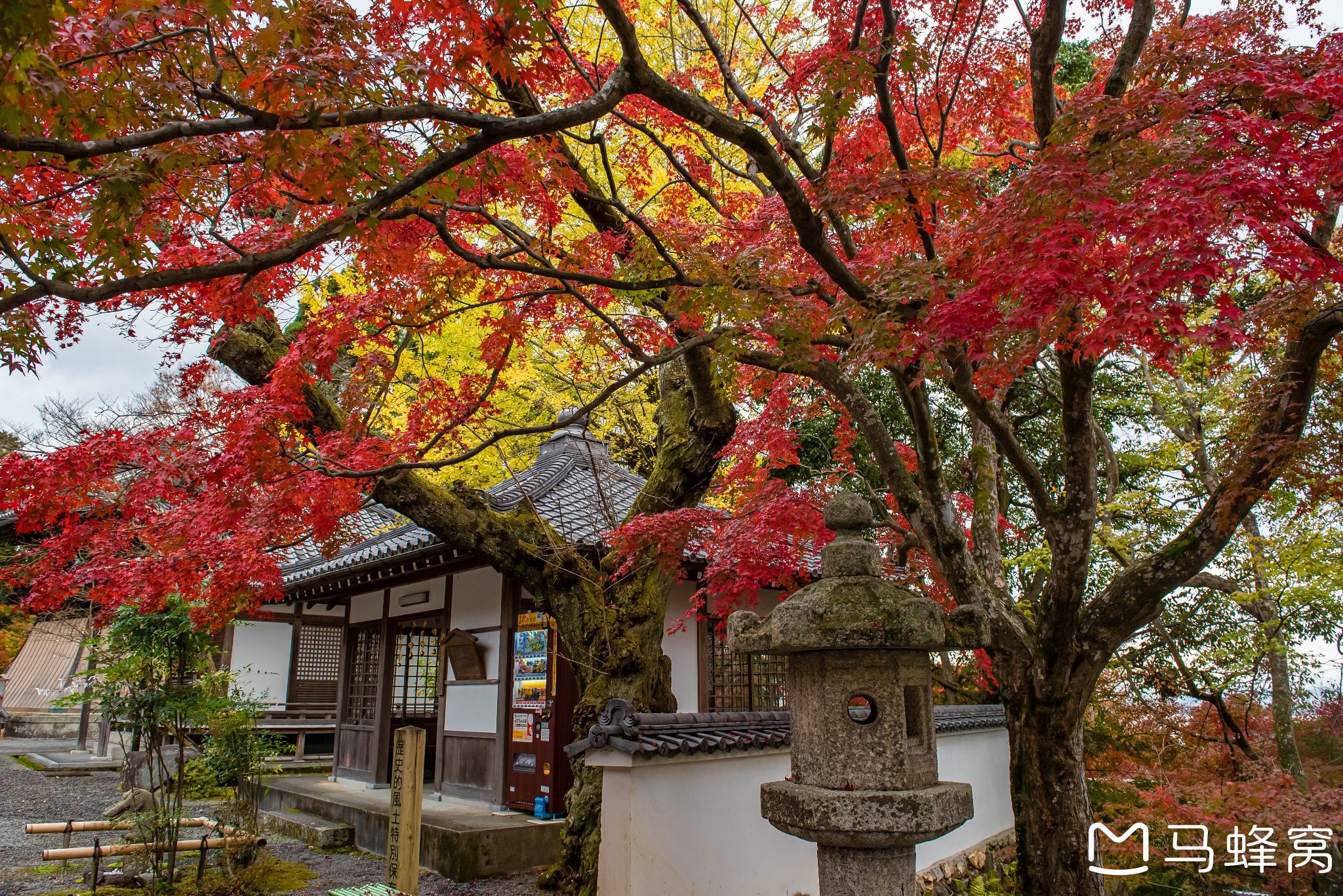 京都自助遊攻略