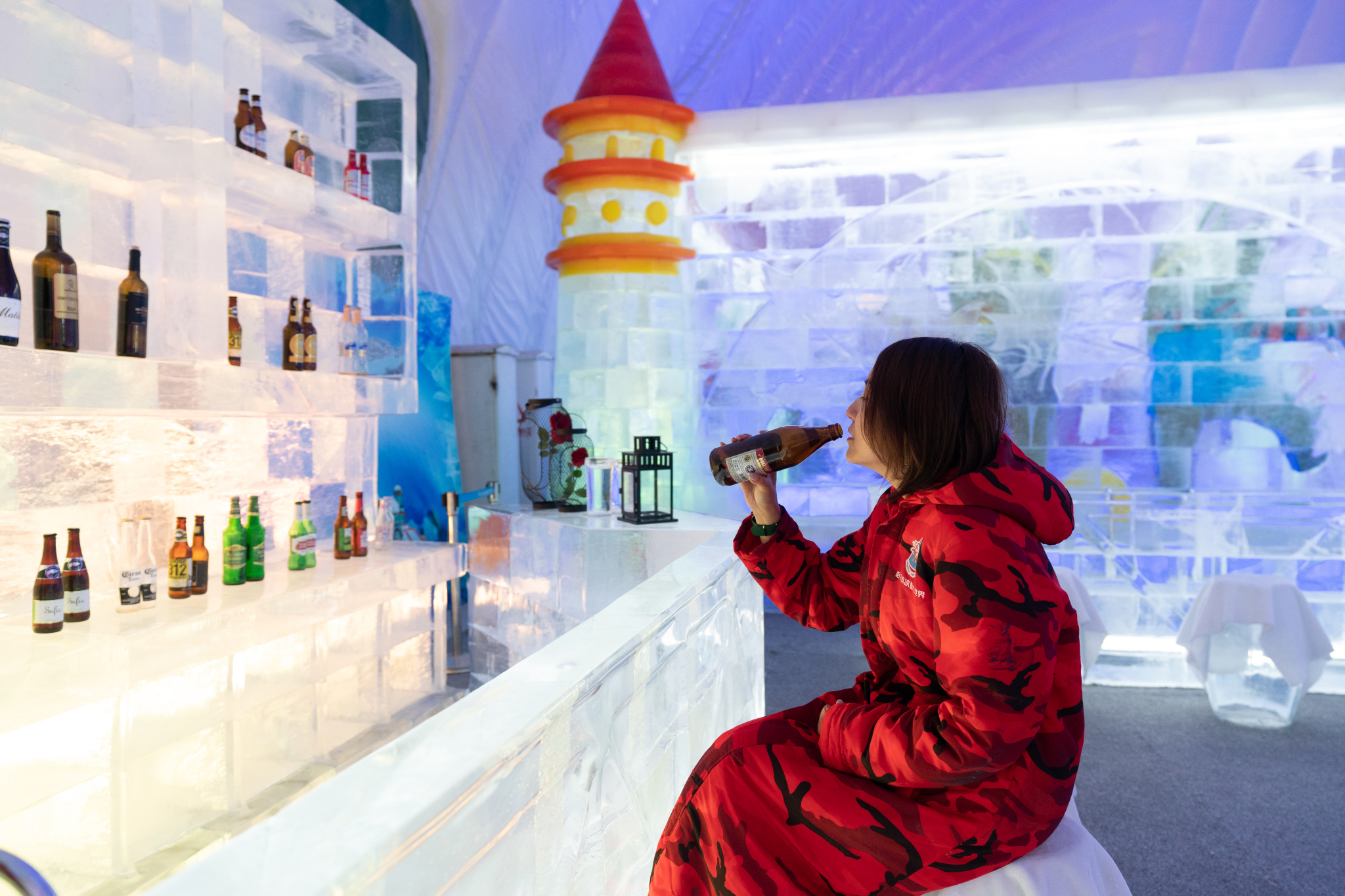 还特别设置了有趣的主题冰馆:海底世界,冰冻花卉,童话世界,冰雪艺术