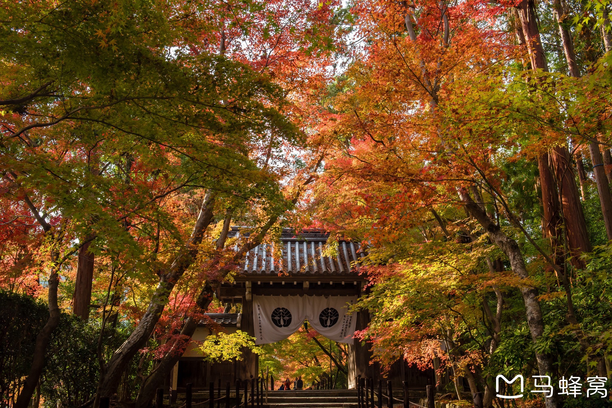 京都自助遊攻略