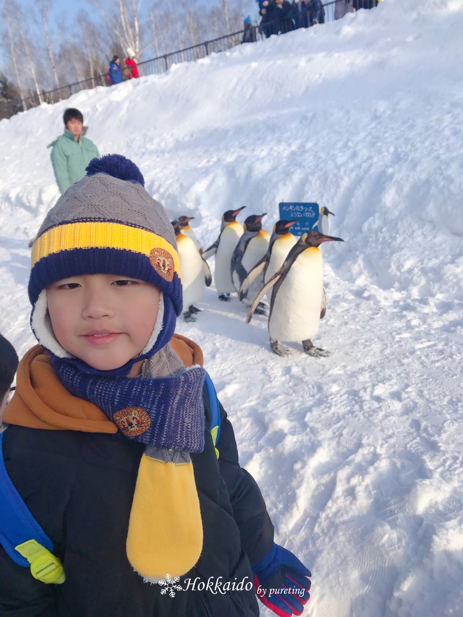 北海道自助遊攻略