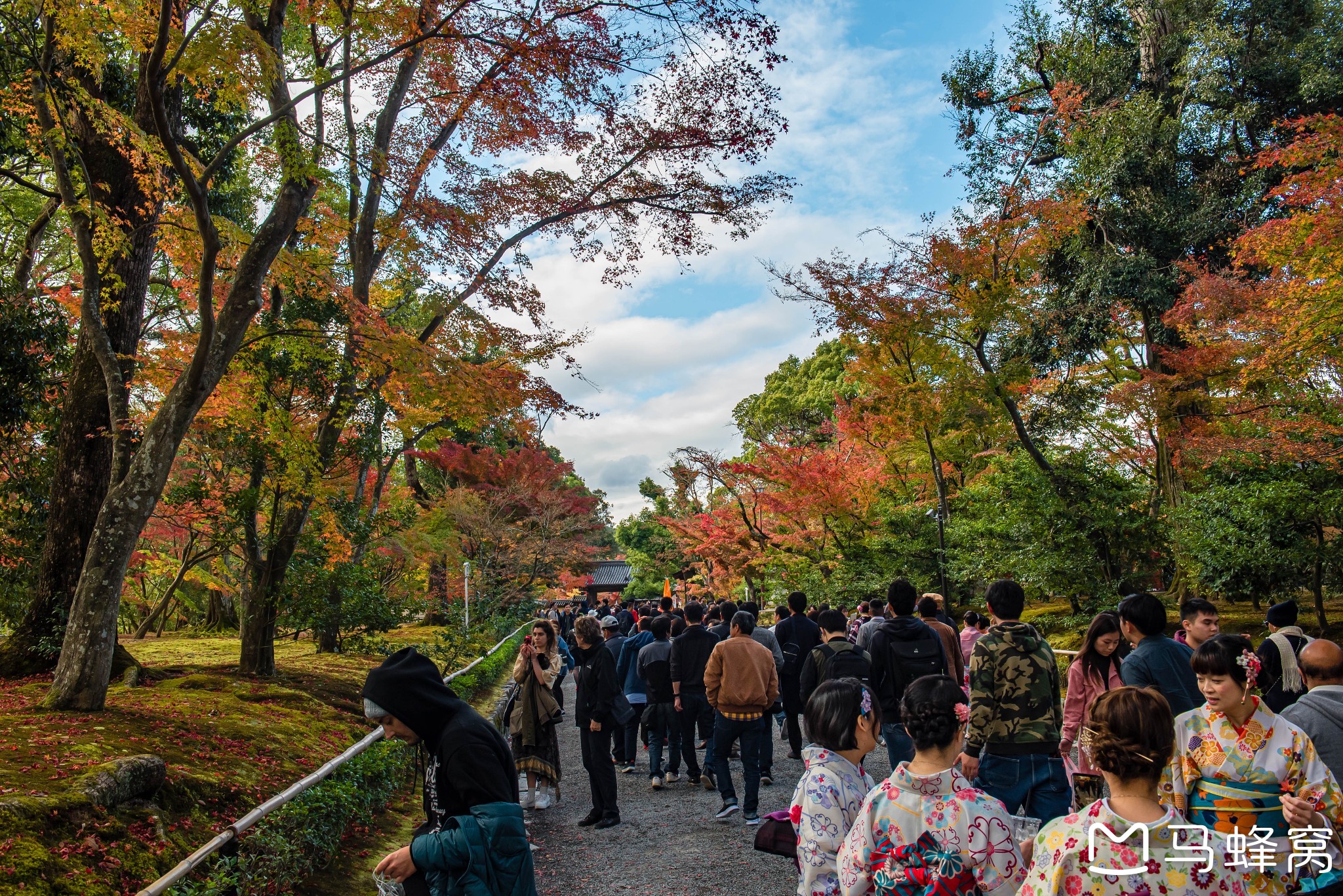 京都自助遊攻略