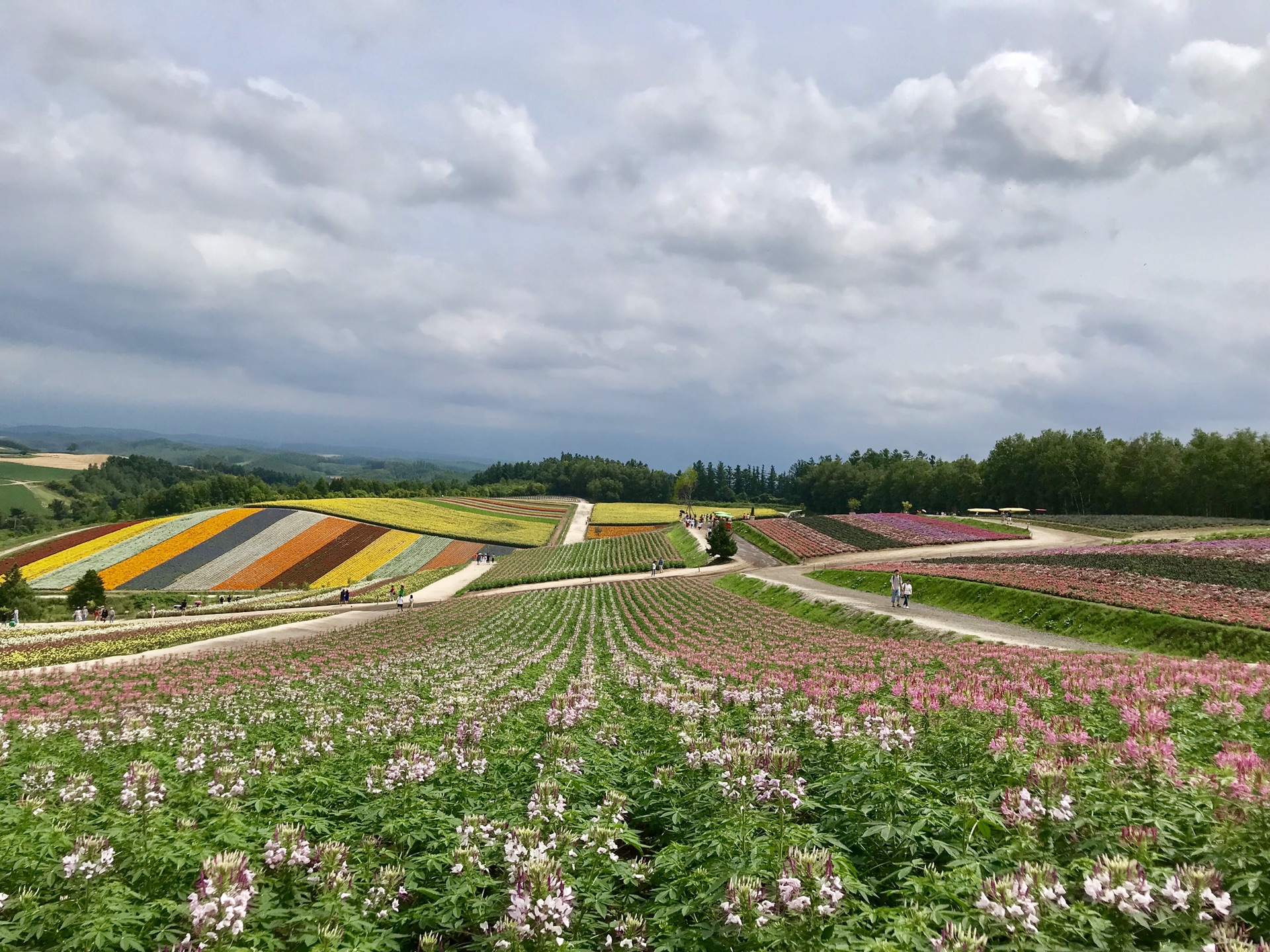 北海道自助遊攻略