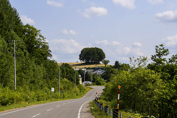 北海道自助遊攻略