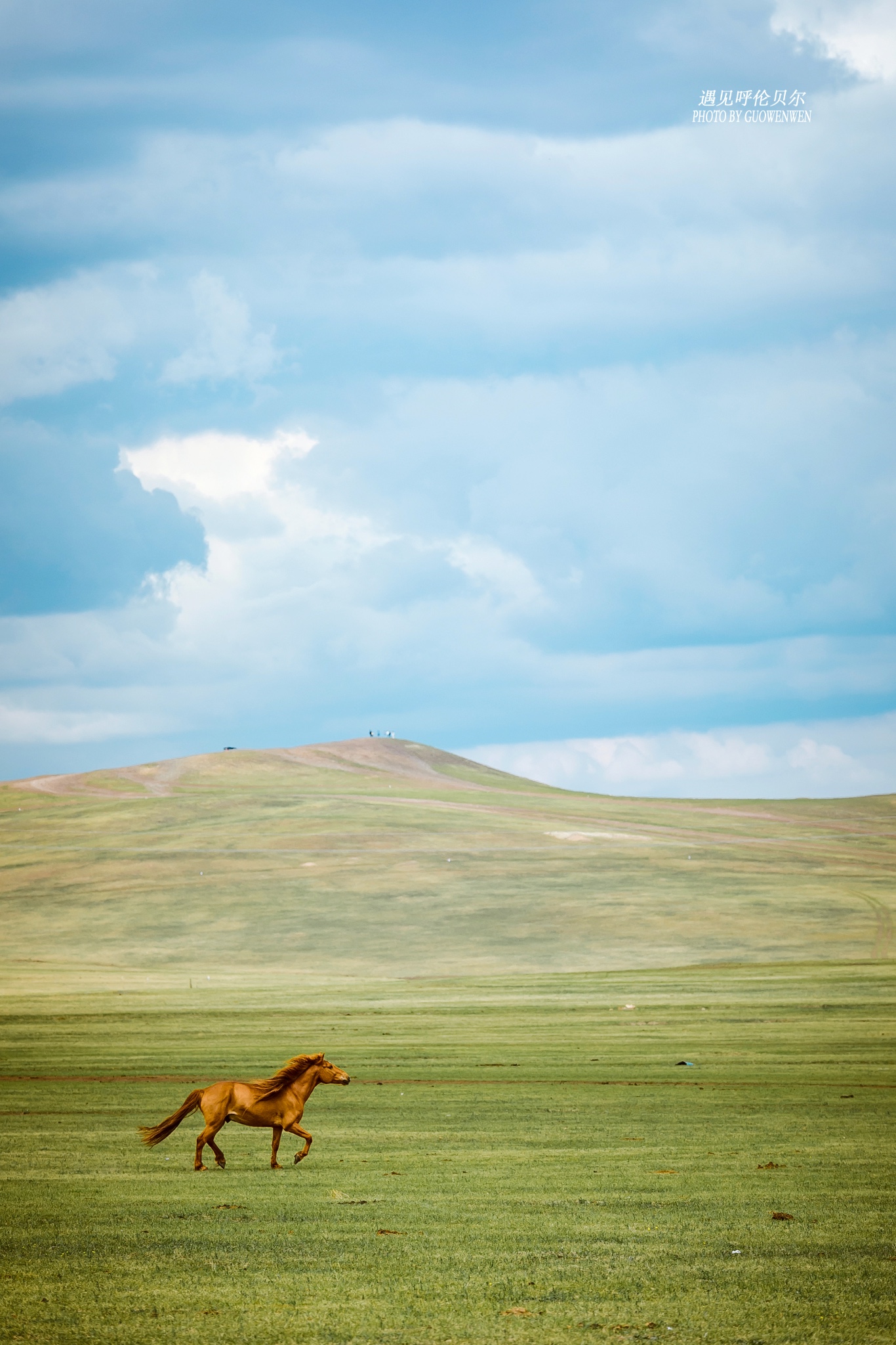 呼伦贝尔大草原亲子游,原来你也可以很温情,呼伦贝尔大草原