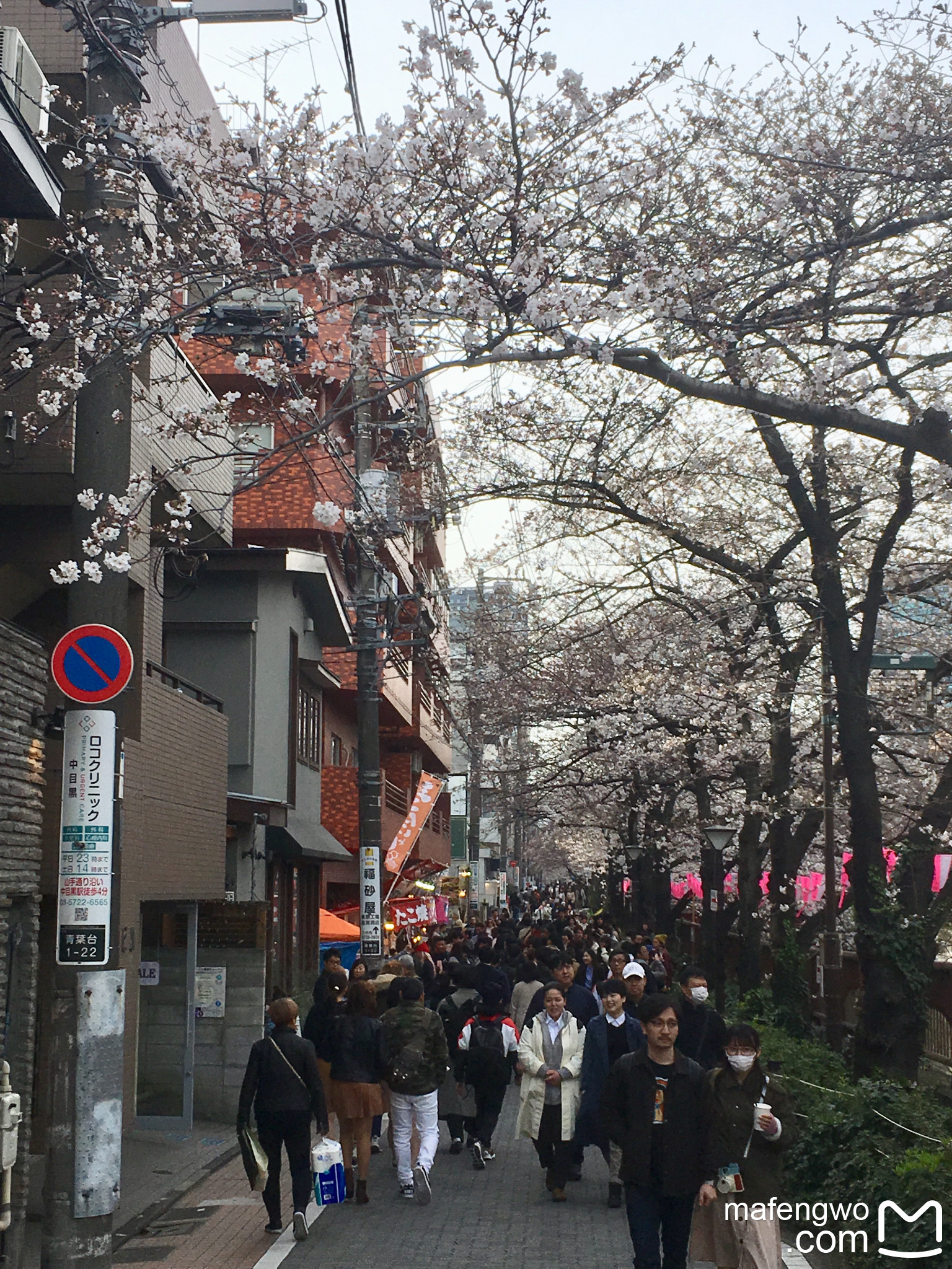 東京自助遊攻略