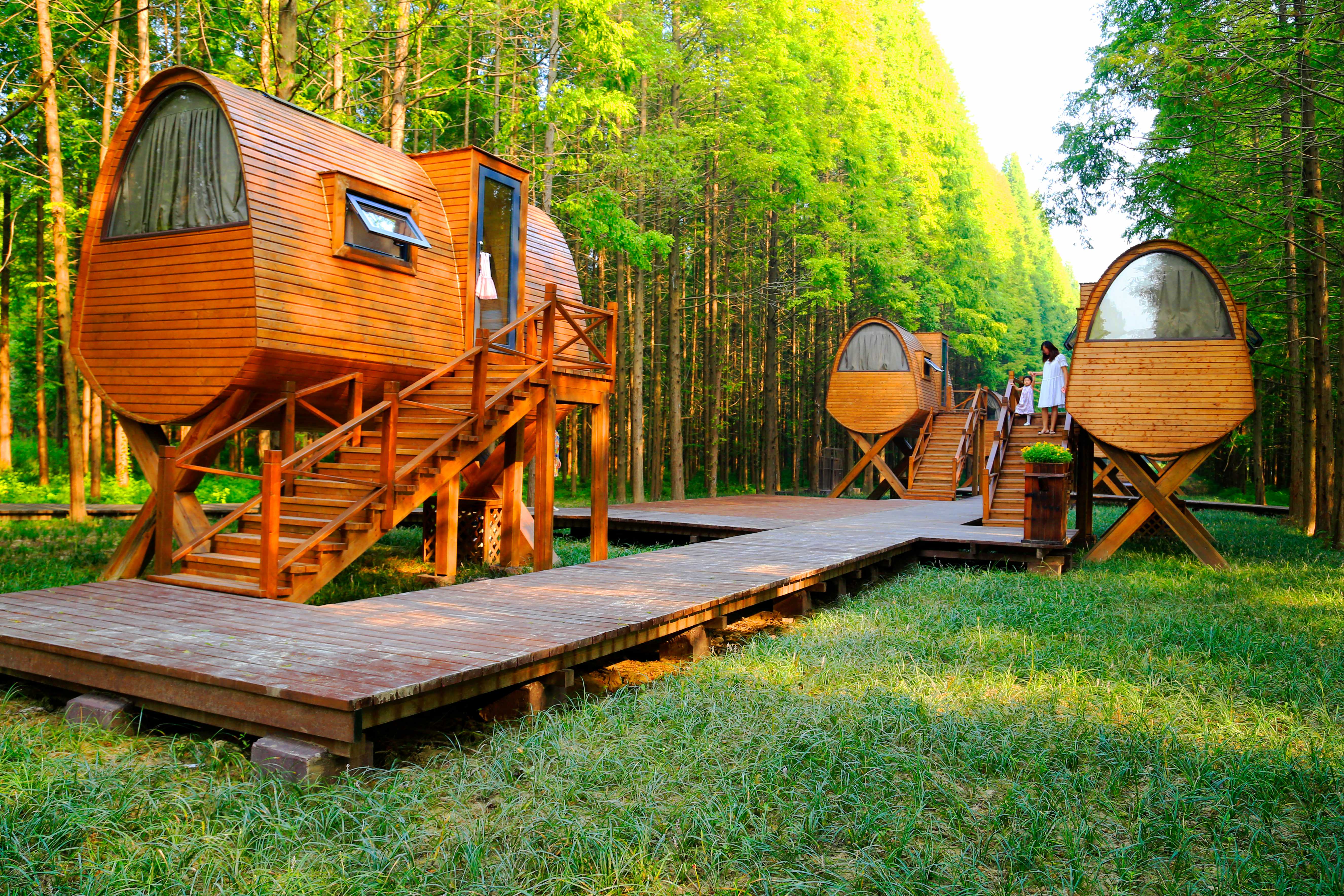 盐城东台黄海森林公园电子票/东台黄海森林公园欢迎您(扫码入园)