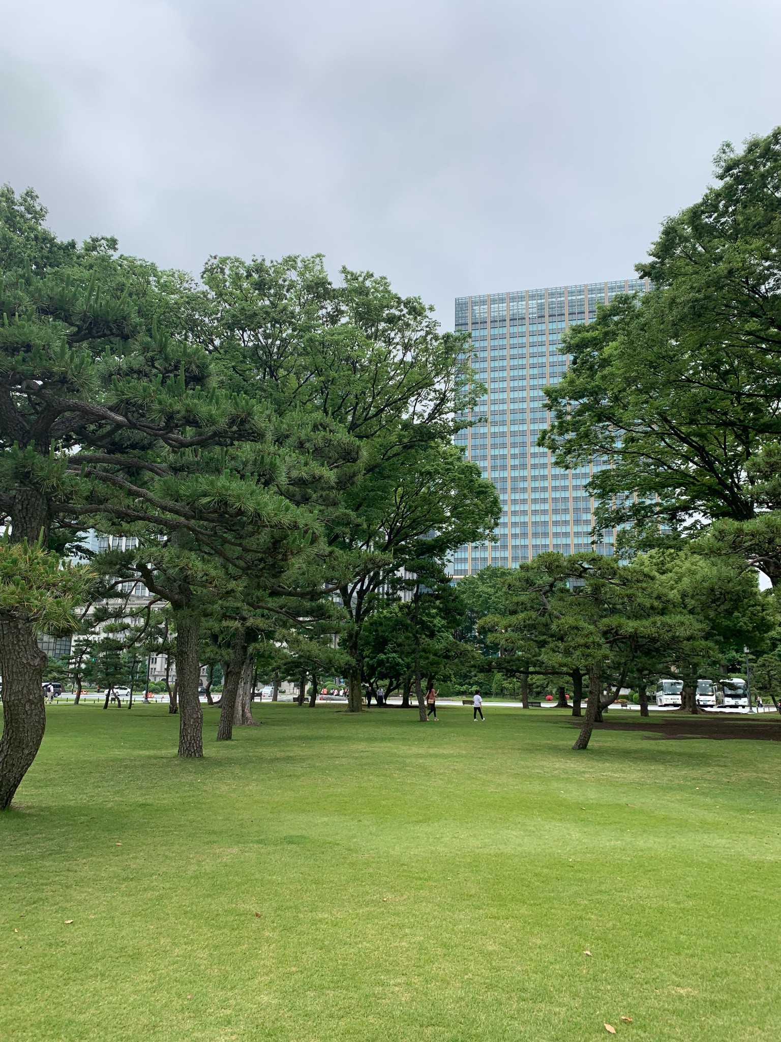 東京自助遊攻略