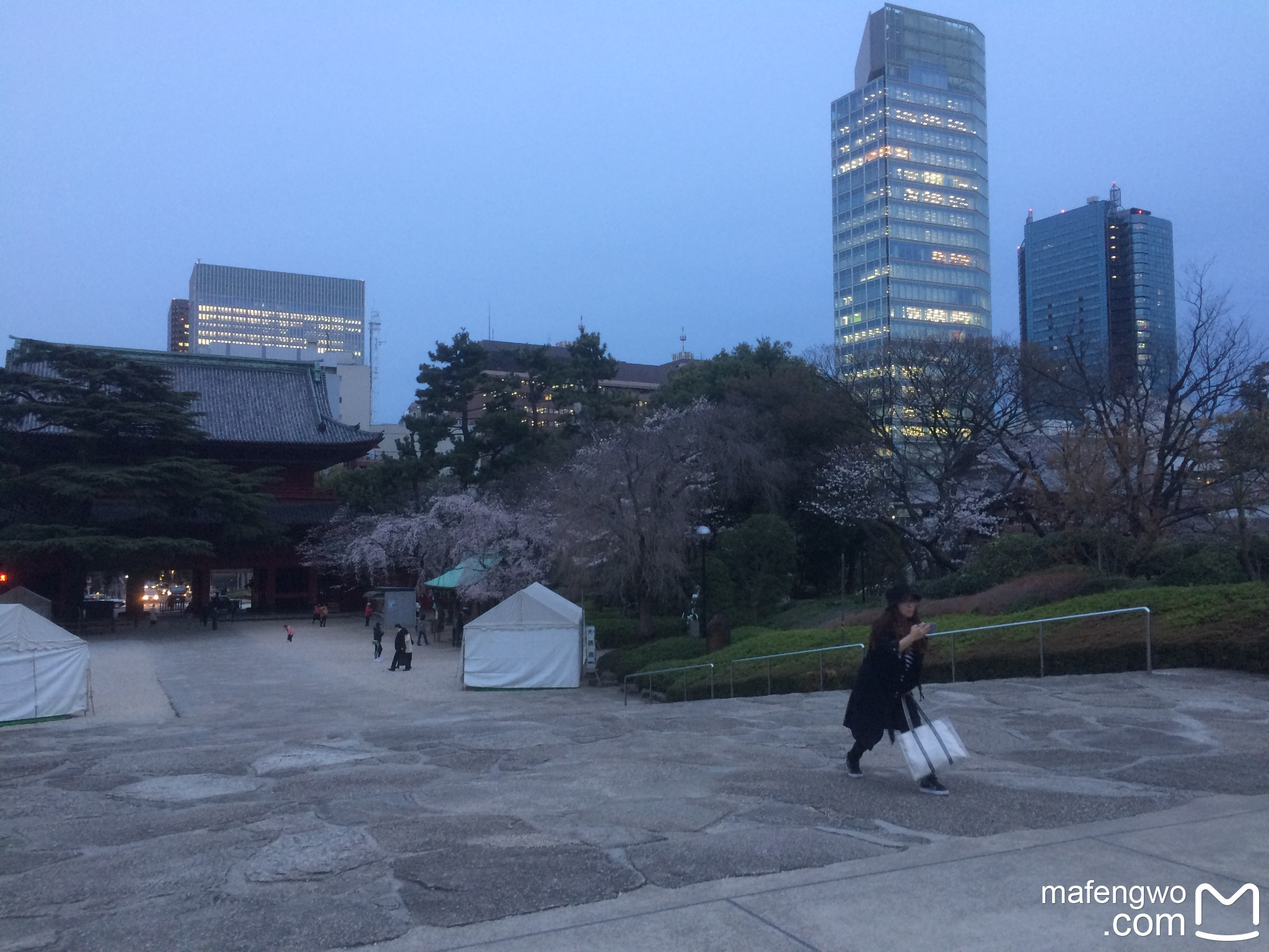 東京自助遊攻略