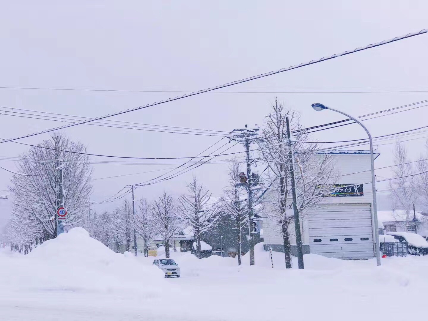 北海道自助遊攻略