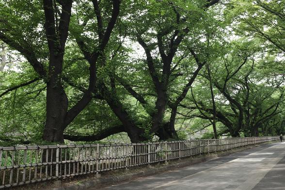 名古屋自助遊攻略