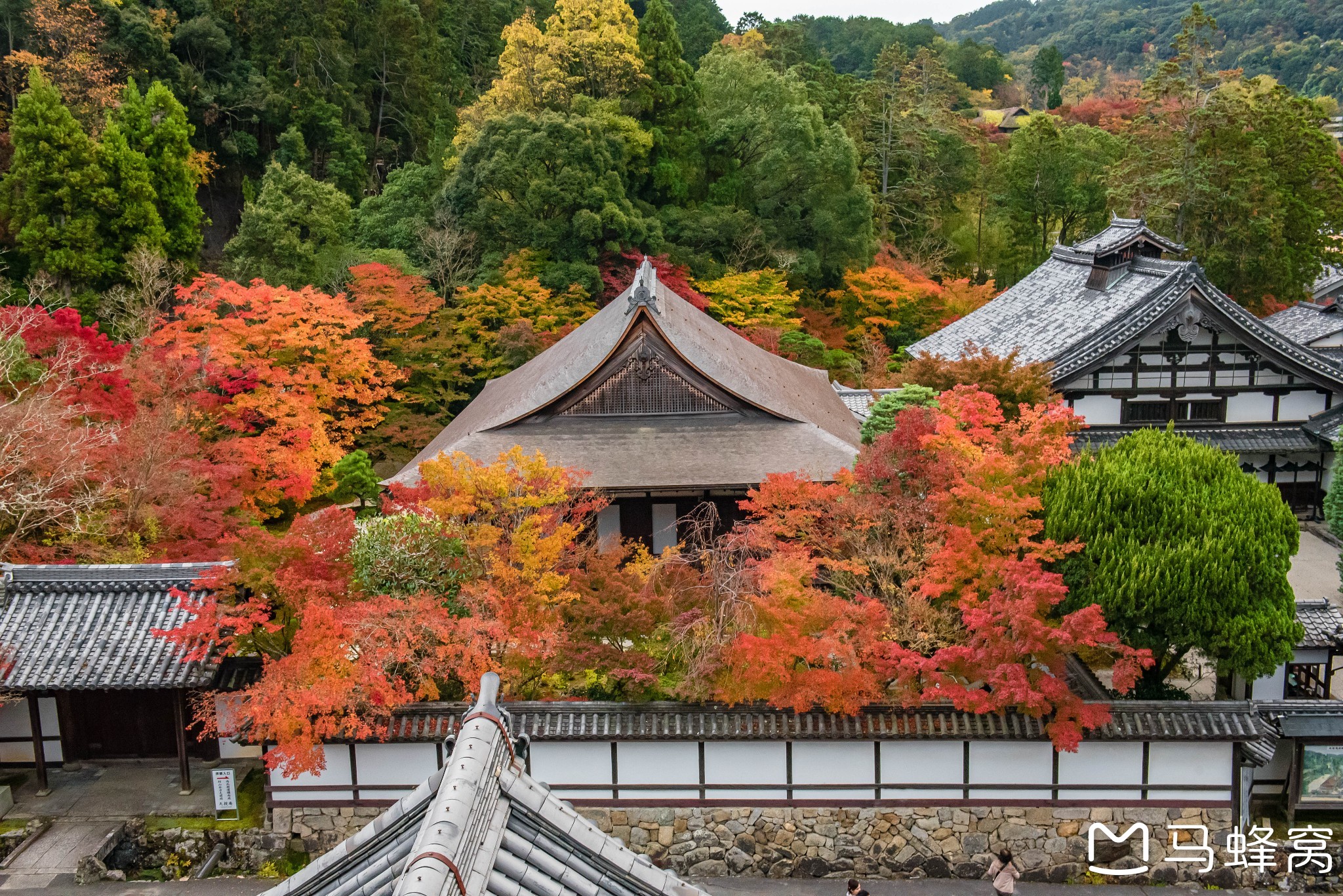 京都自助遊攻略