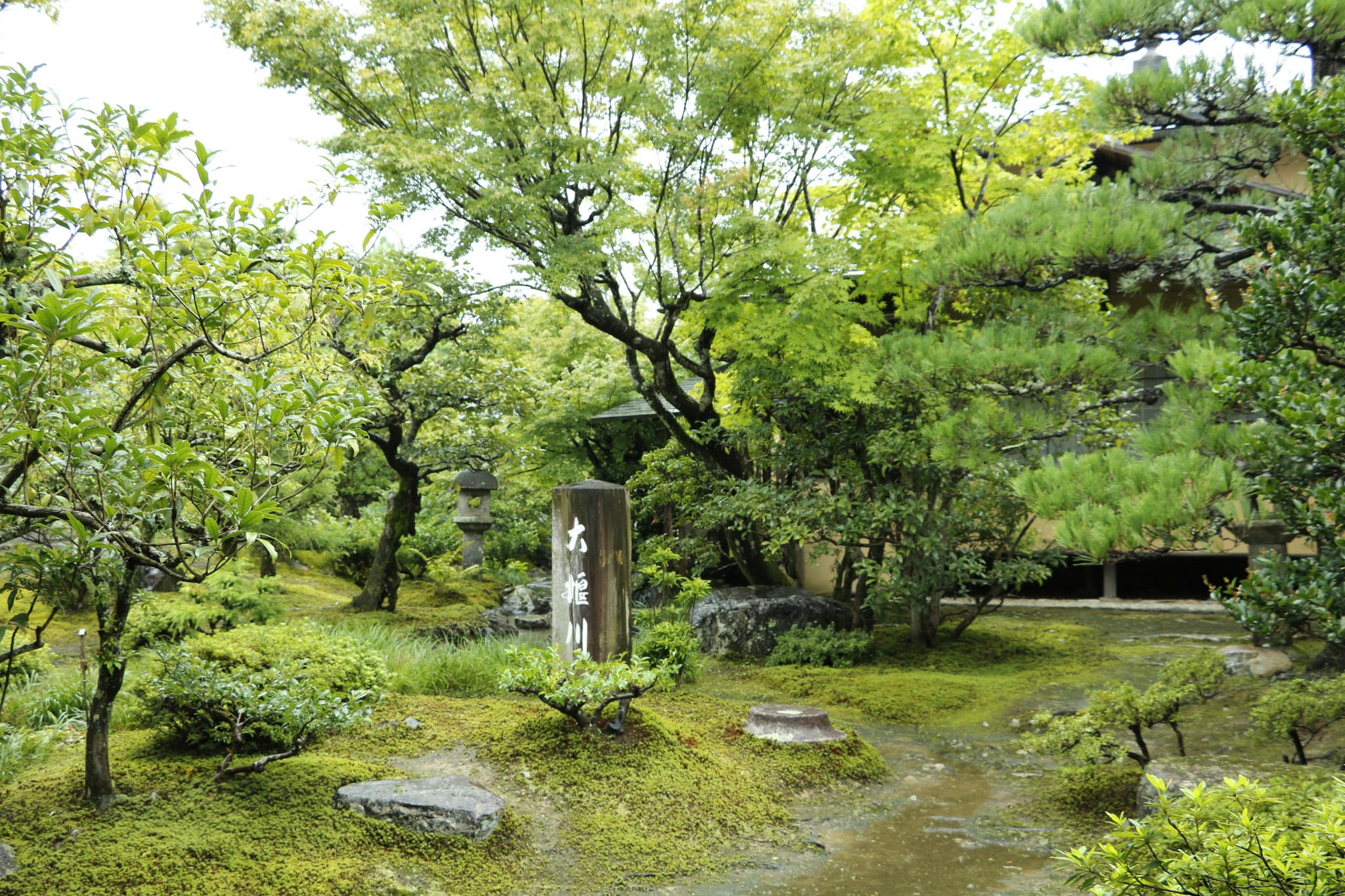 京都自助遊攻略