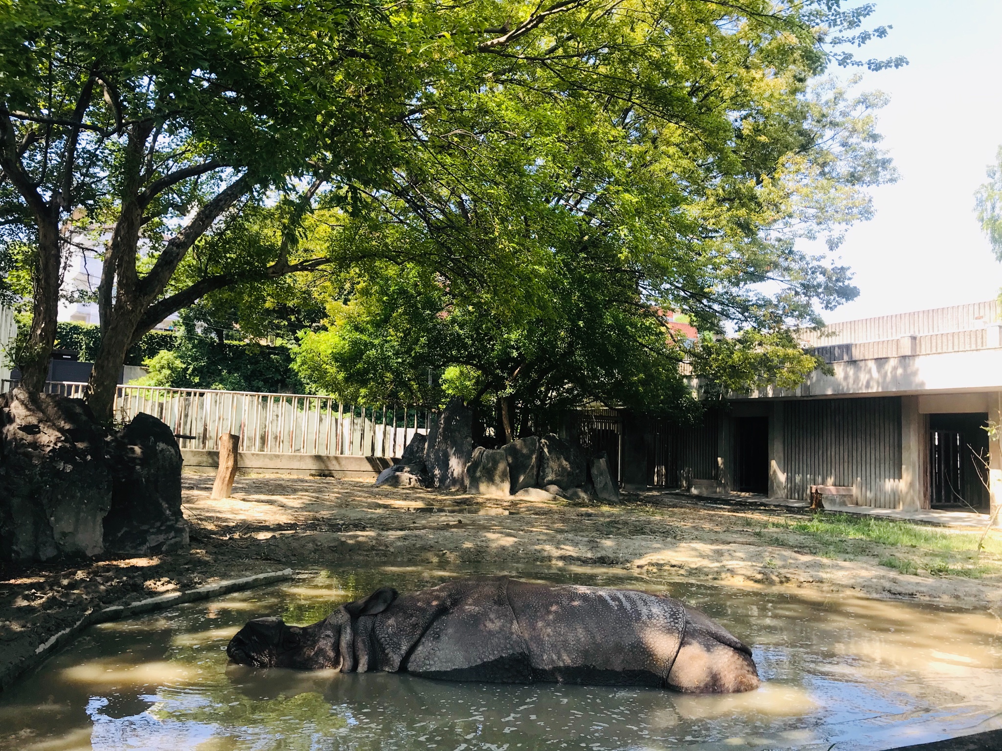 名古屋自助遊攻略