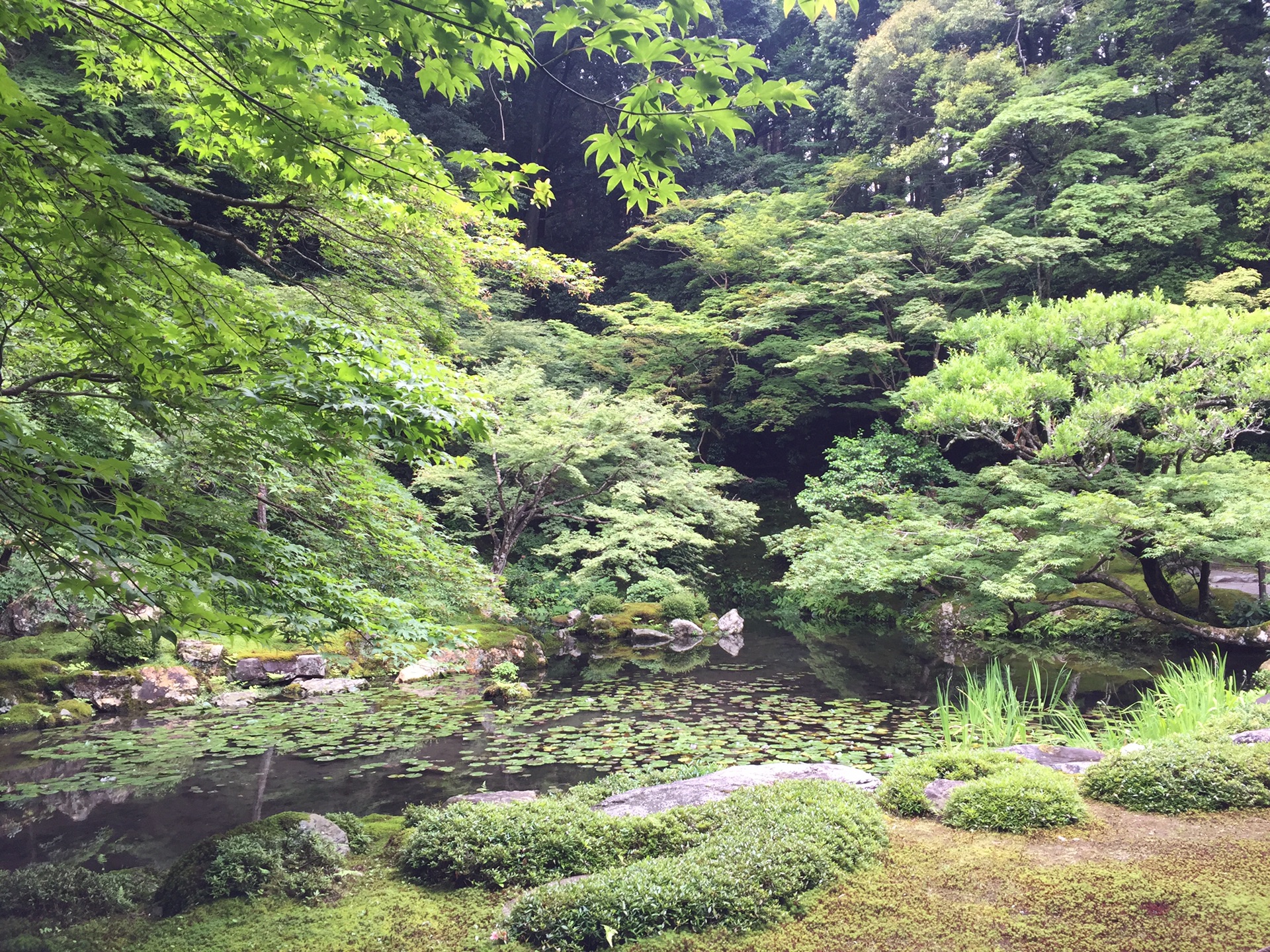 京都自助遊攻略