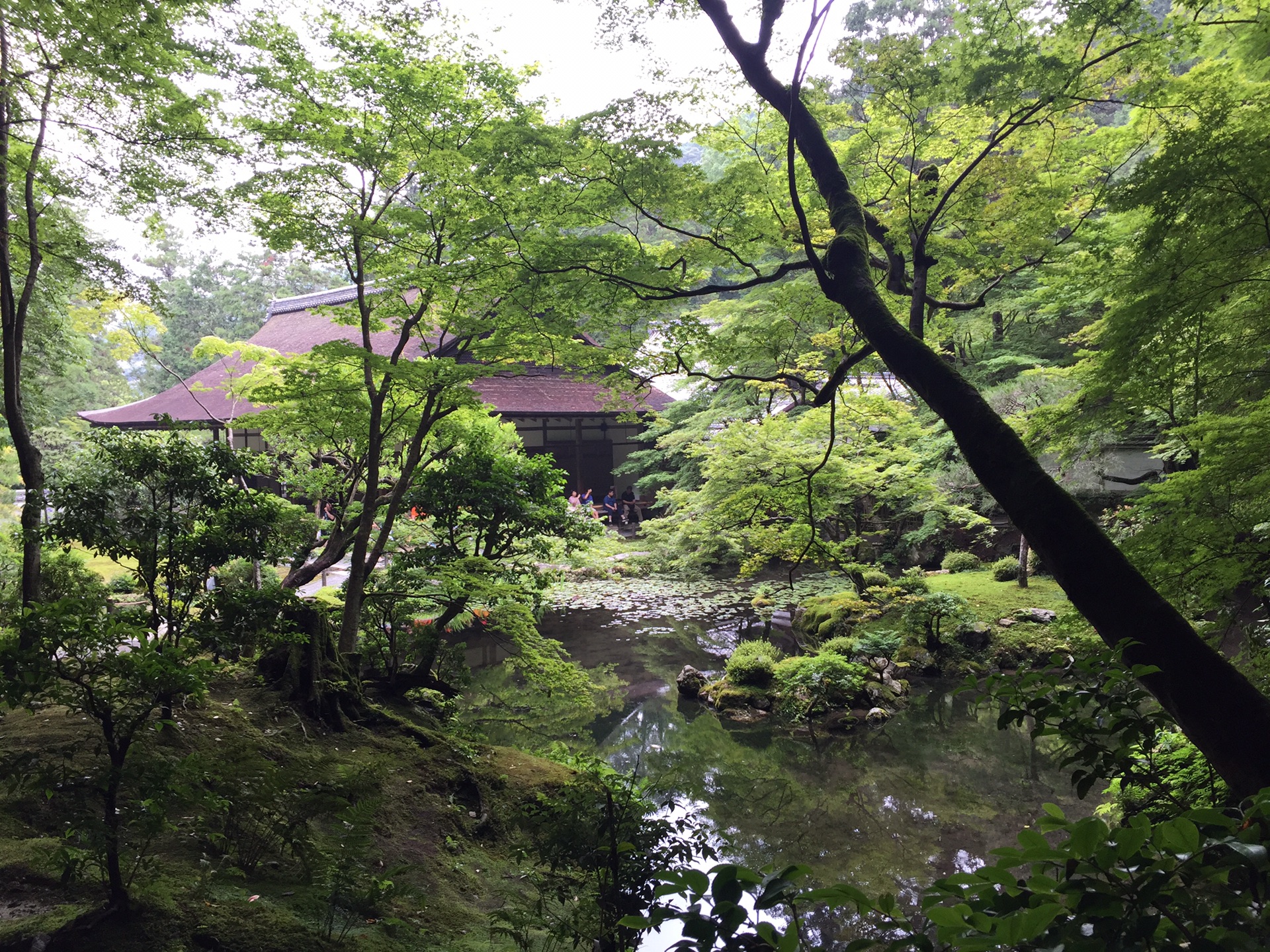 京都自助遊攻略