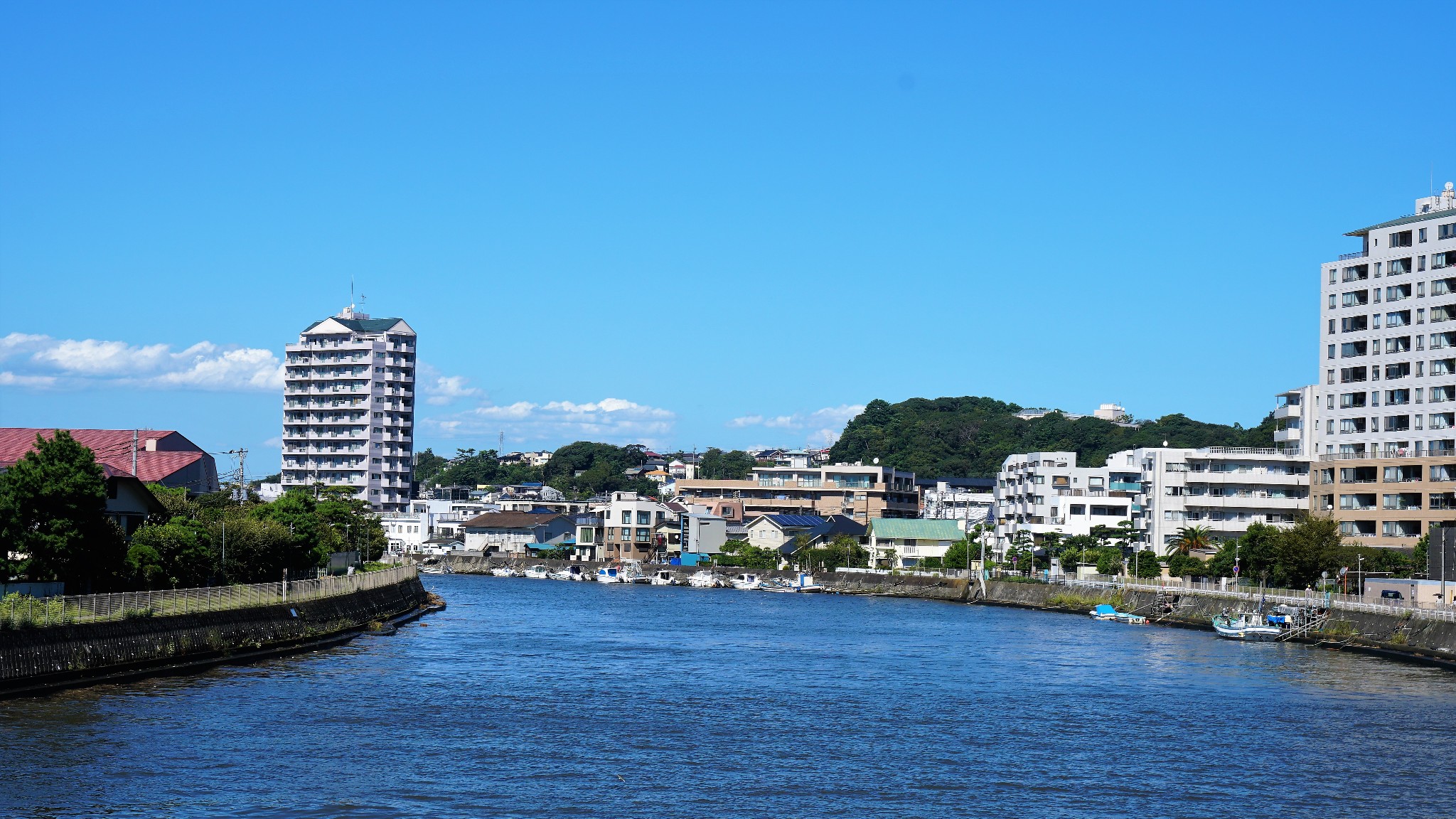 最爱湘南的那片海—镰仓四季全景(大海,夕阳,寺庙,紫阳花,红叶)