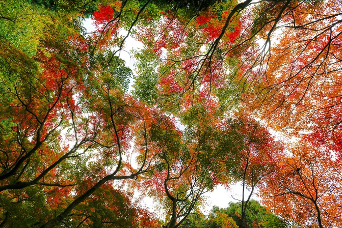 名山多隐士,与诗词遇见山川