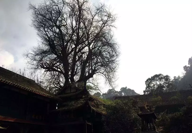 名山多隐士,与诗词遇见山川