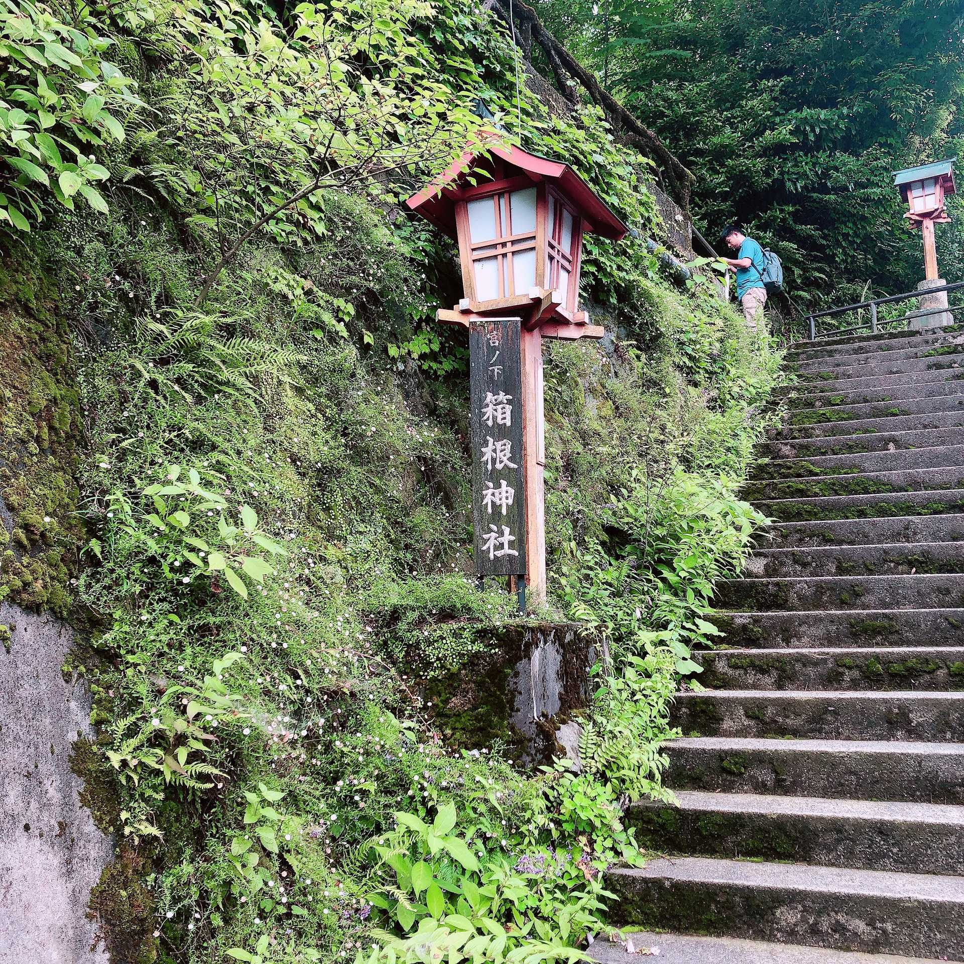 東京自助遊攻略