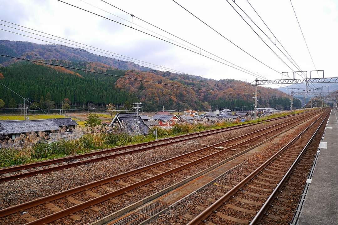 京都自助遊攻略