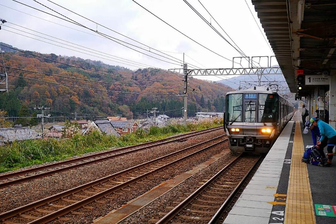 京都自助遊攻略