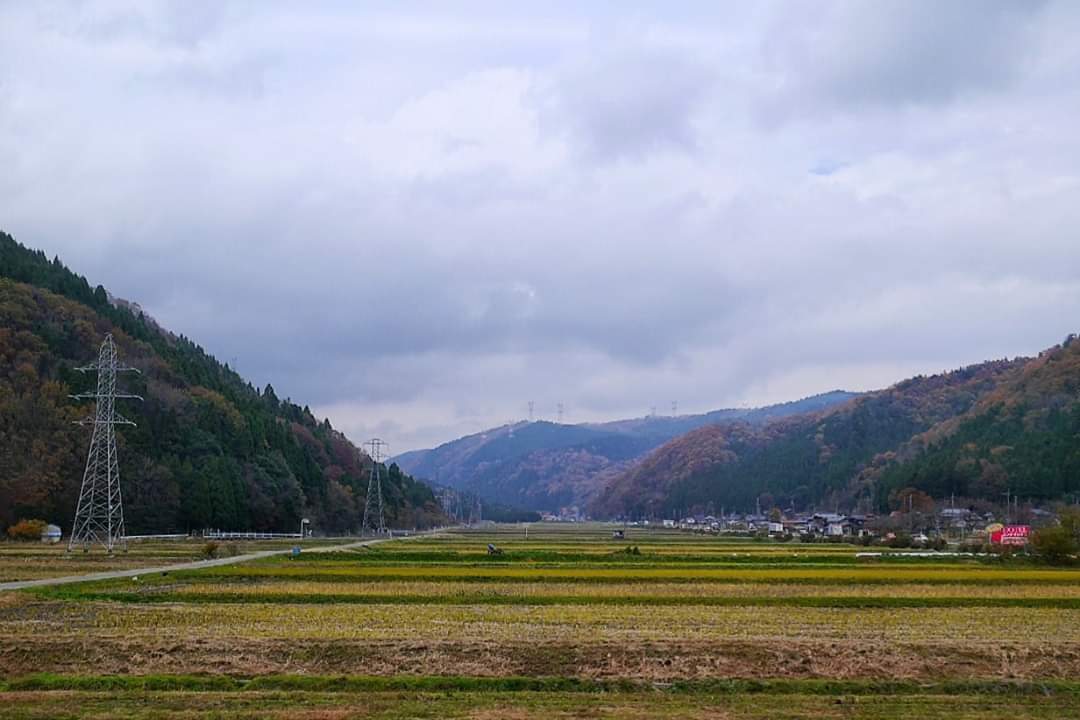 京都自助遊攻略