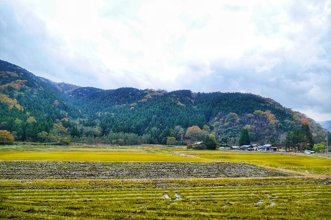 京都自助遊攻略