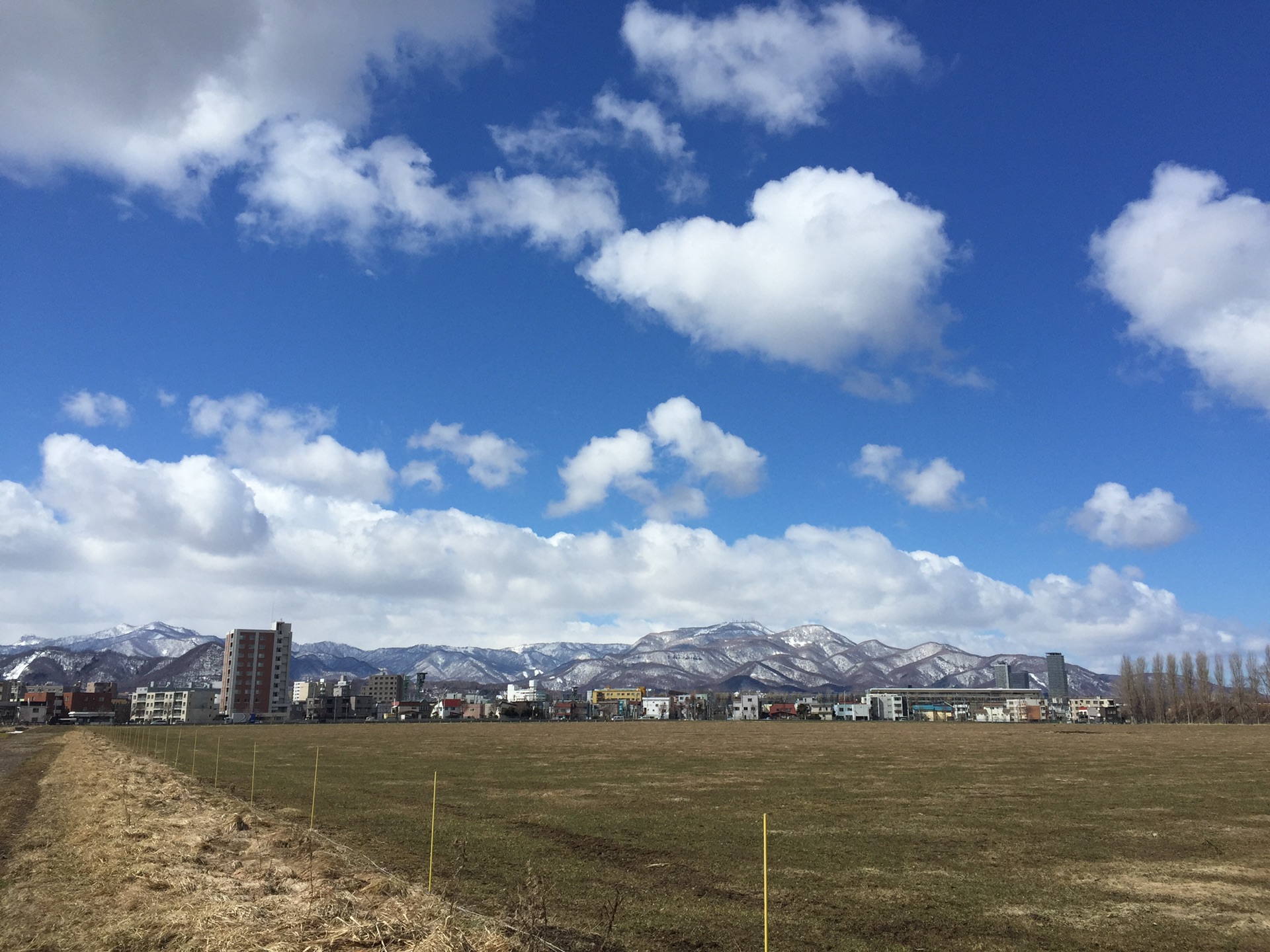 北海道自助遊攻略