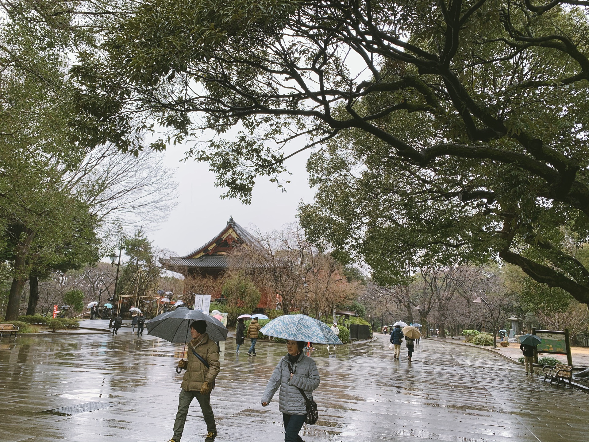 東京自助遊攻略