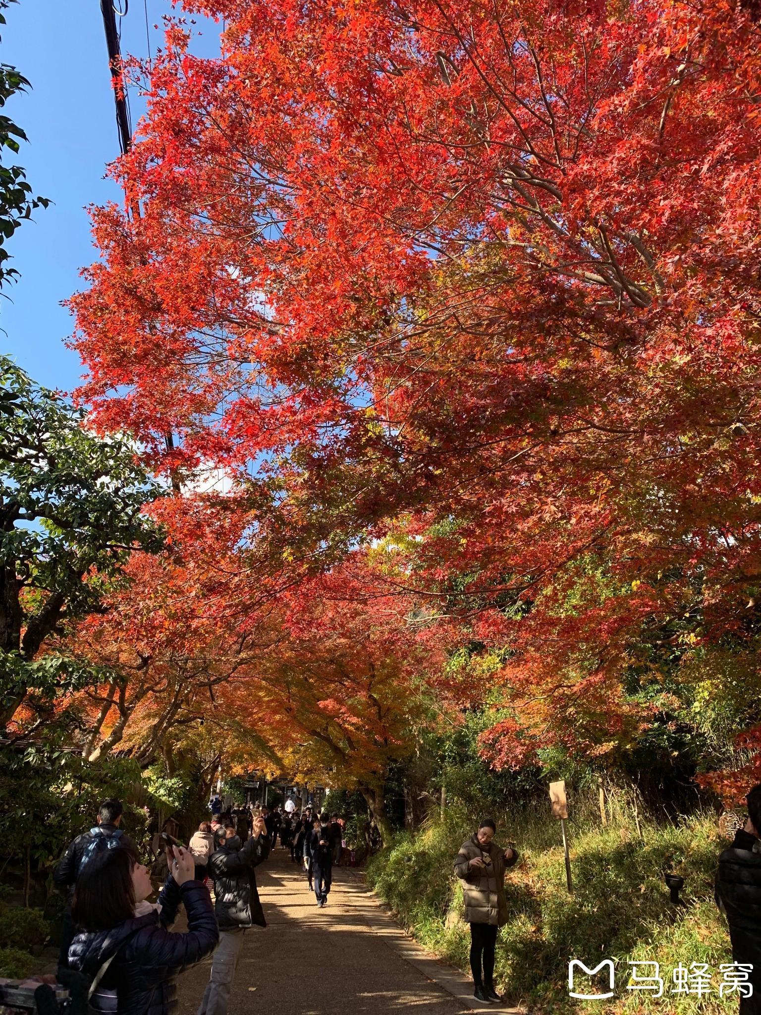 京都自助遊攻略